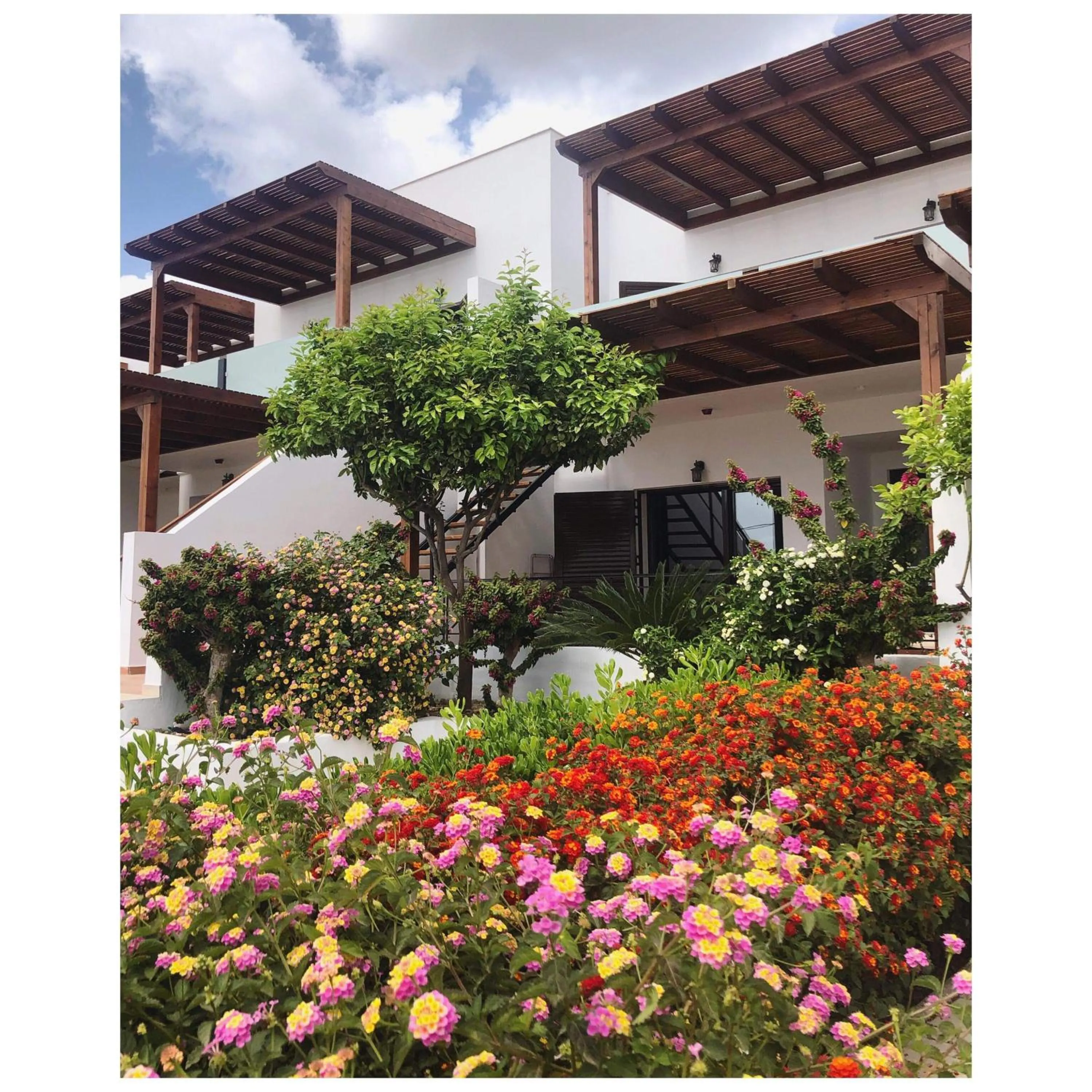 Southern Dreams Apartments