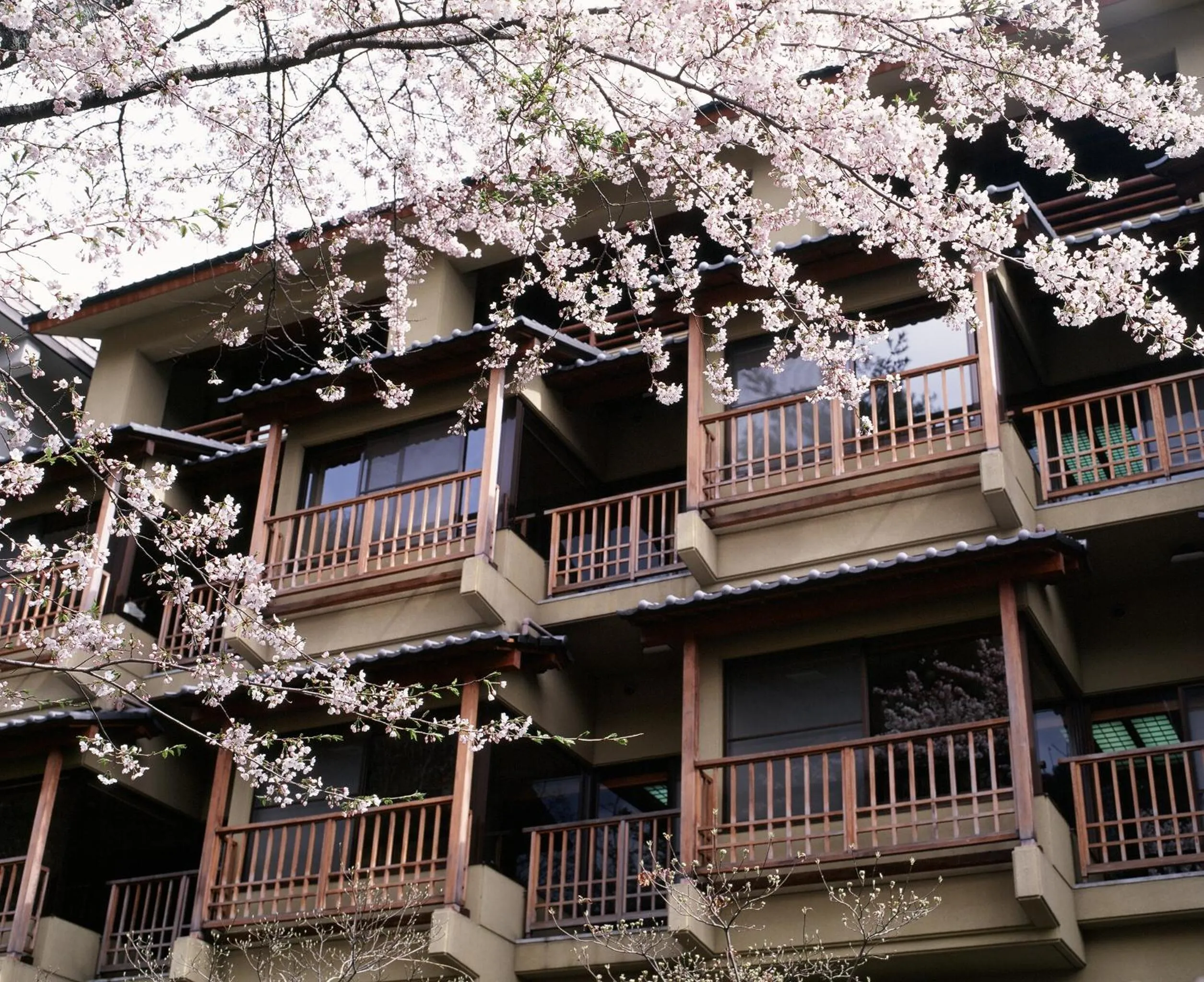 Property building in Kinseikan Seseragi