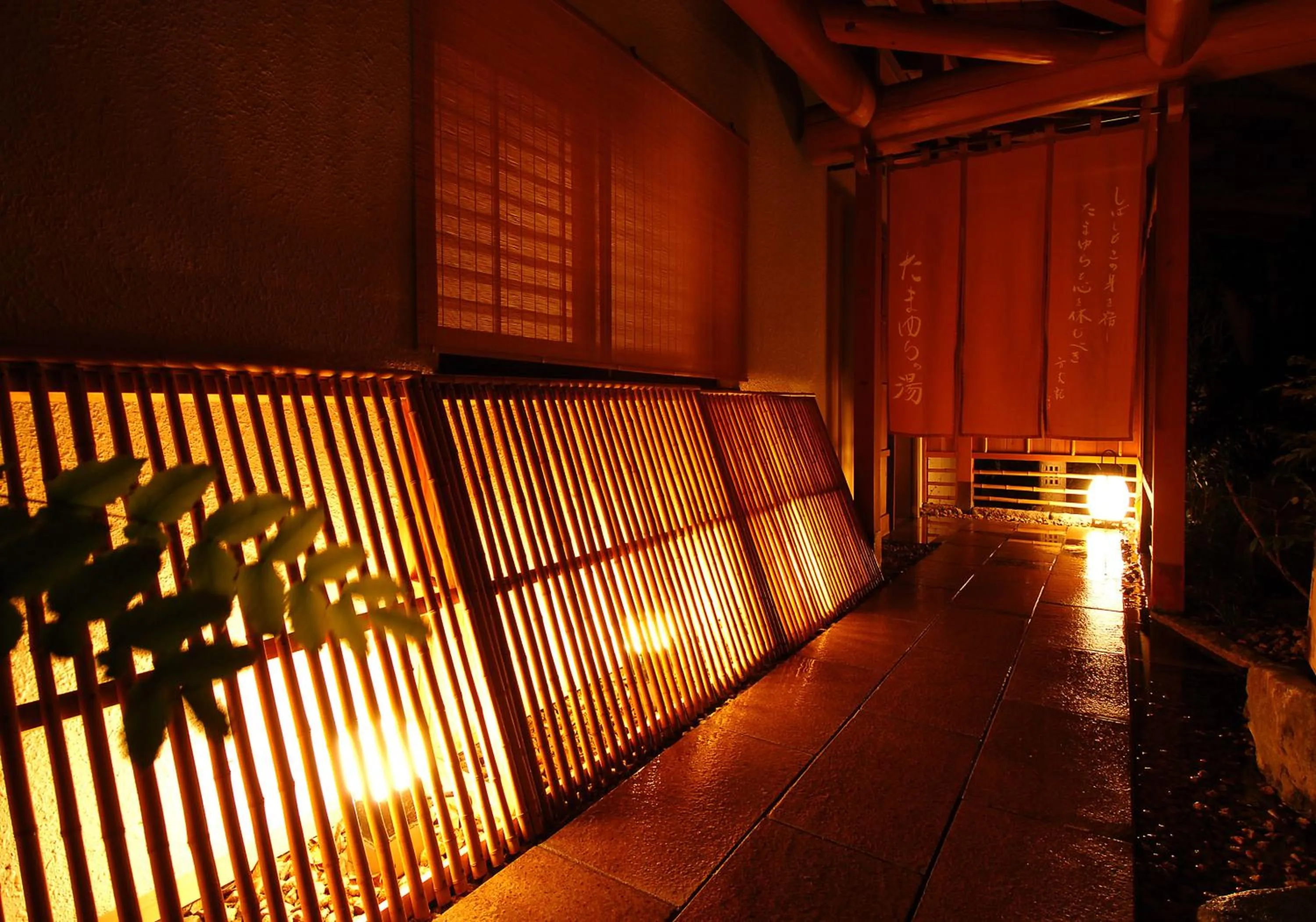 Hot Spring Bath in Tatsumikan