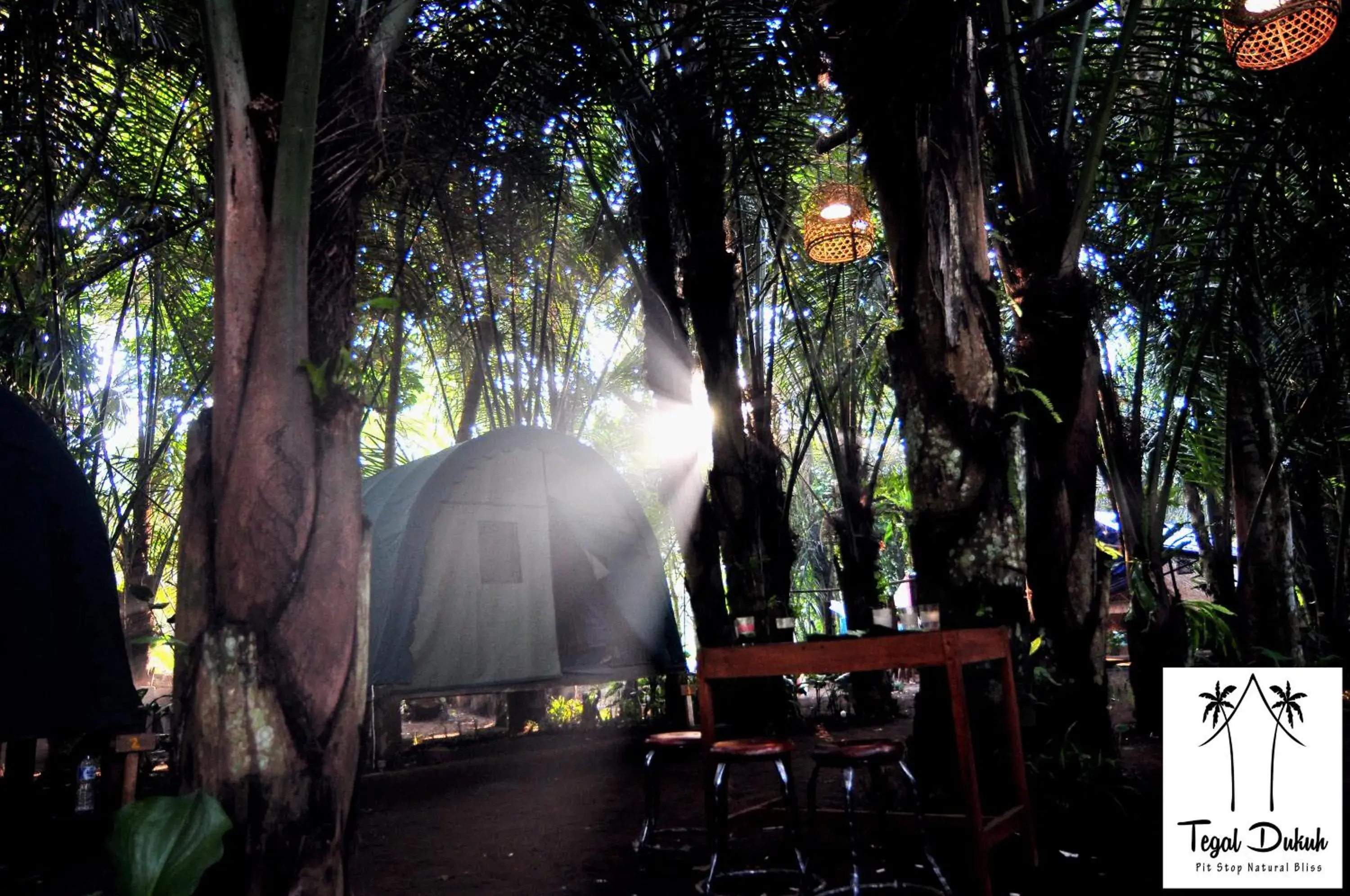 Garden view in Tegal Dukuh Camp Garden view in Tegal Dukuh Camp