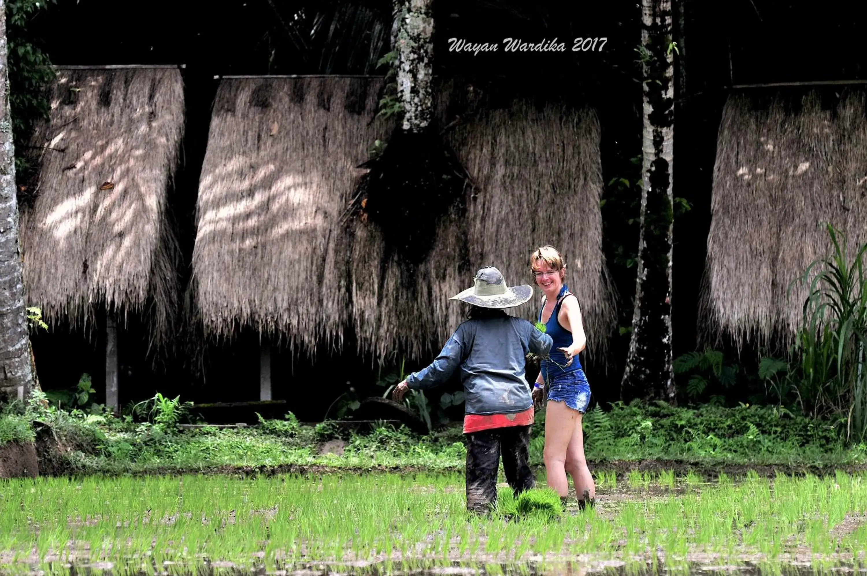 View (from property/room) in Tegal Dukuh Camp View (from property/room) in Tegal Dukuh Camp