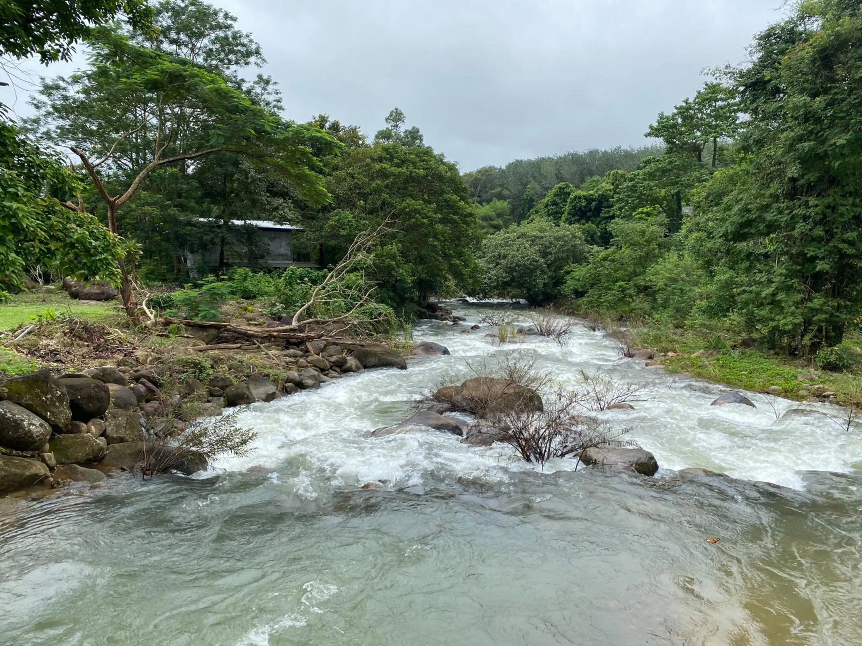 River view in Akantuka Homestay