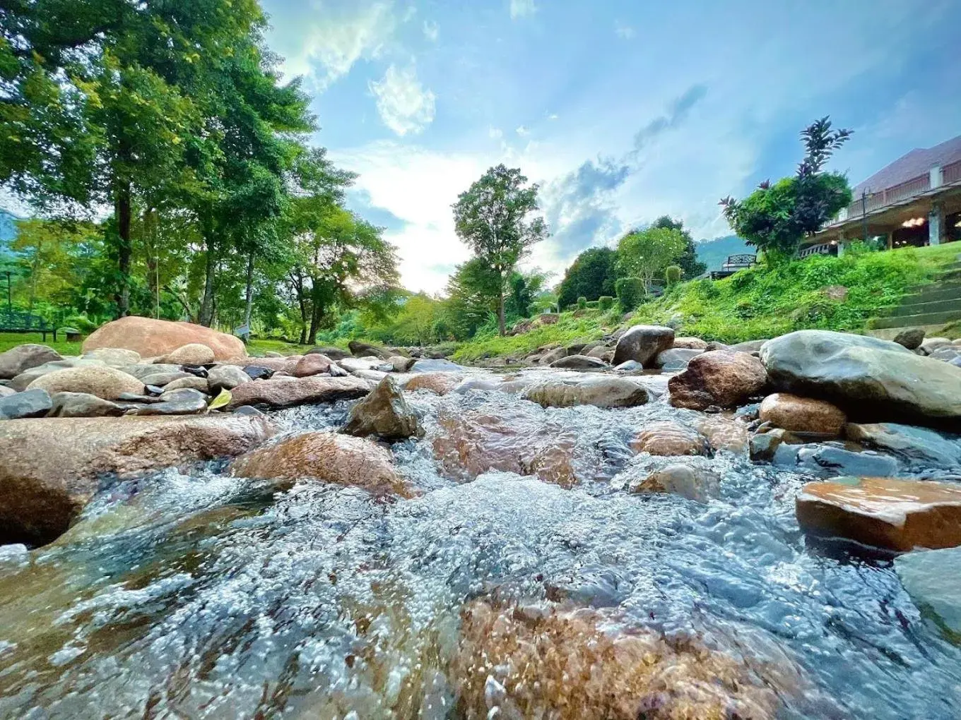 River view in Akantuka Homestay River view in Akantuka Homestay