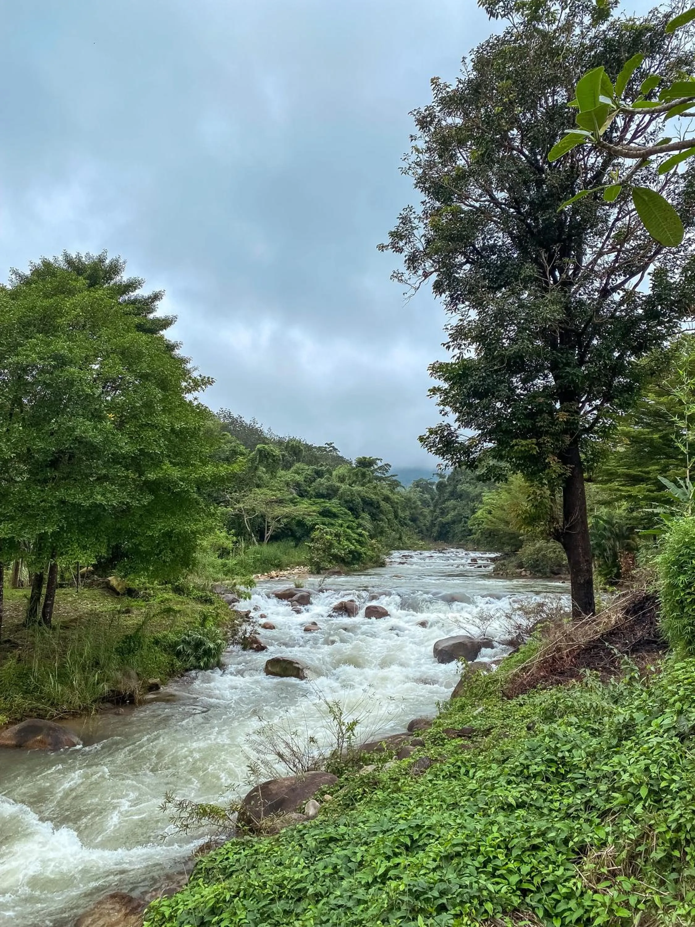 River view in Akantuka Homestay