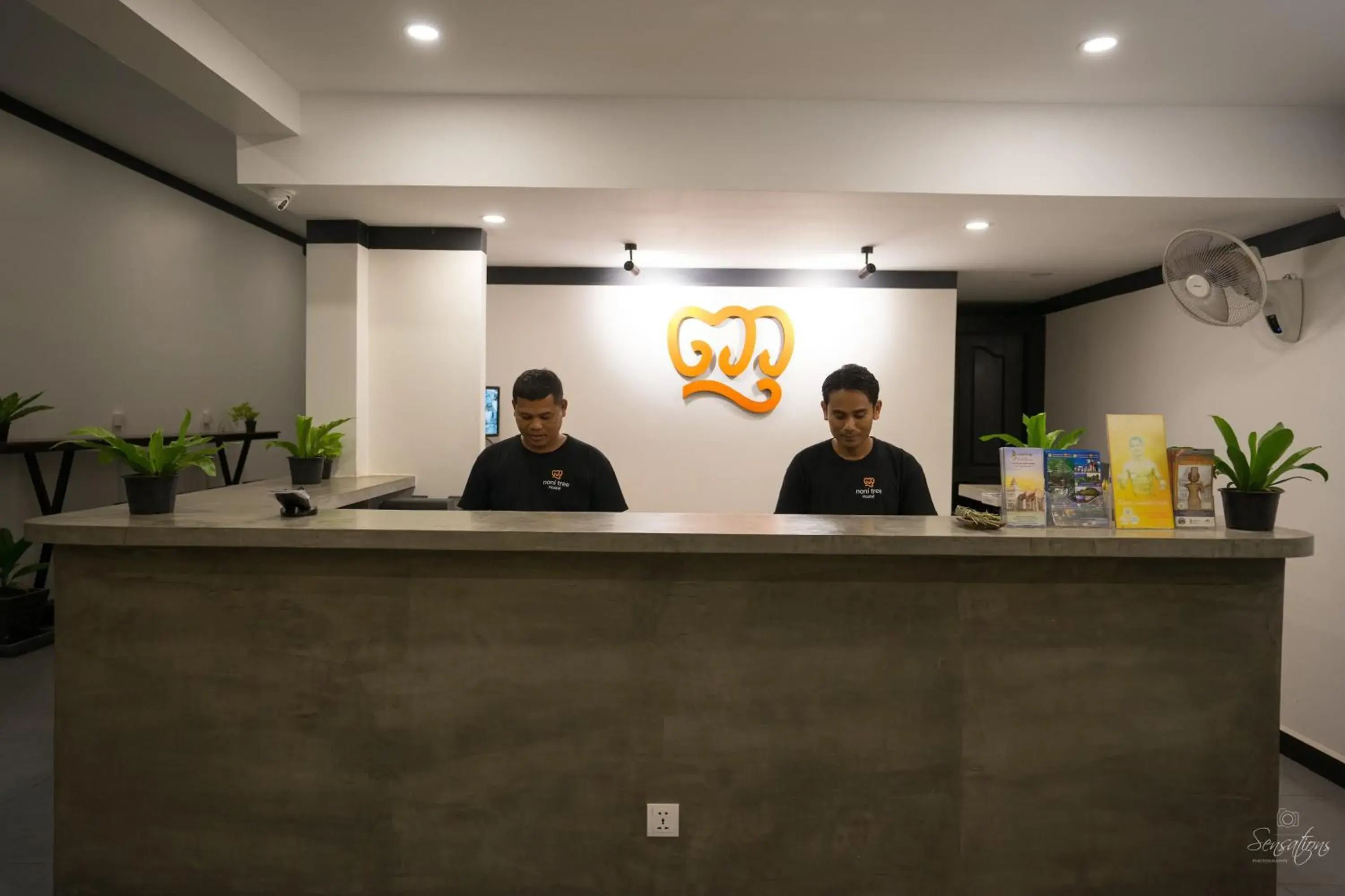 Lobby or reception in Noni Tree Hostel Lobby or reception in Noni Tree Hostel