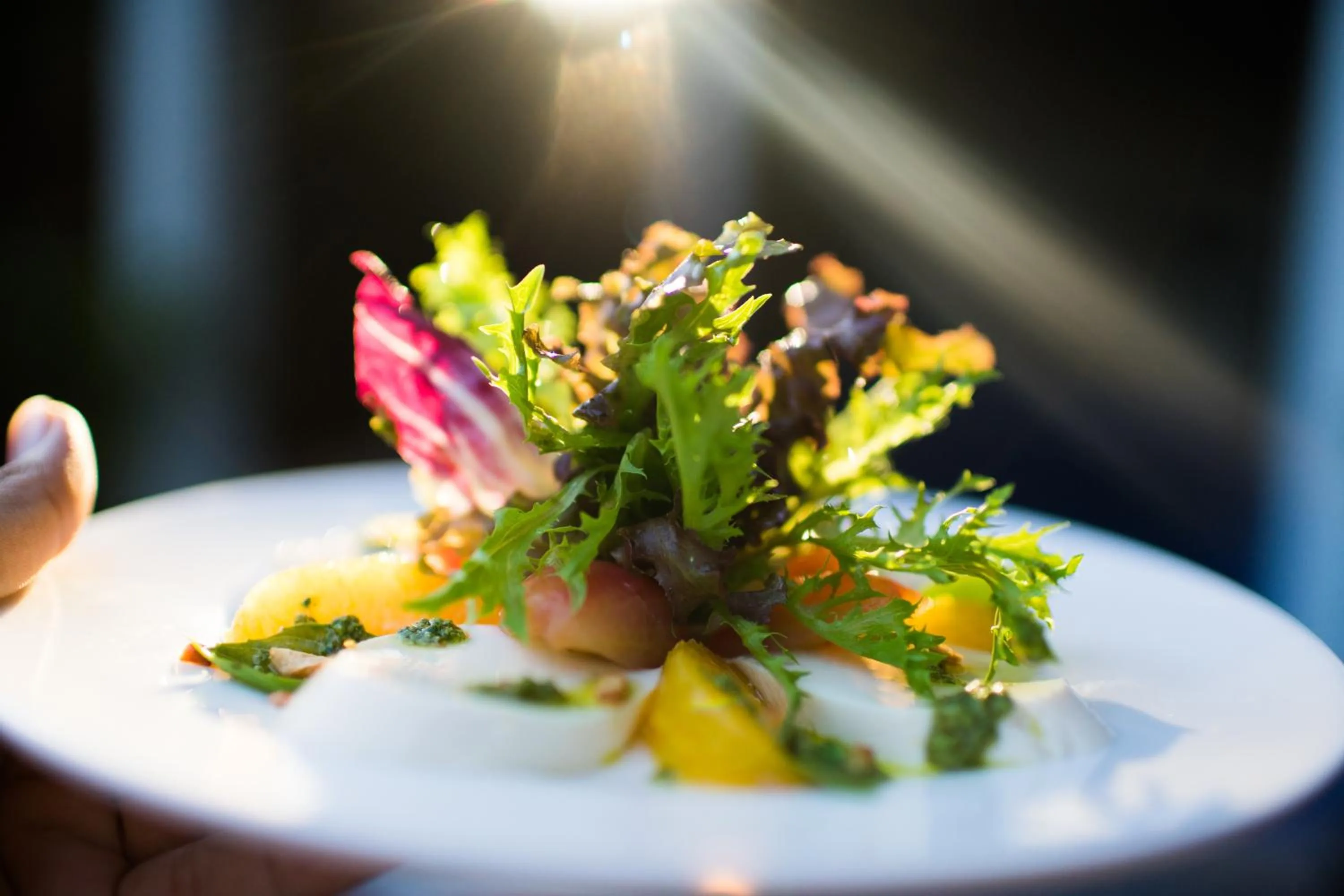 Drinks in Noni Tree Hostel