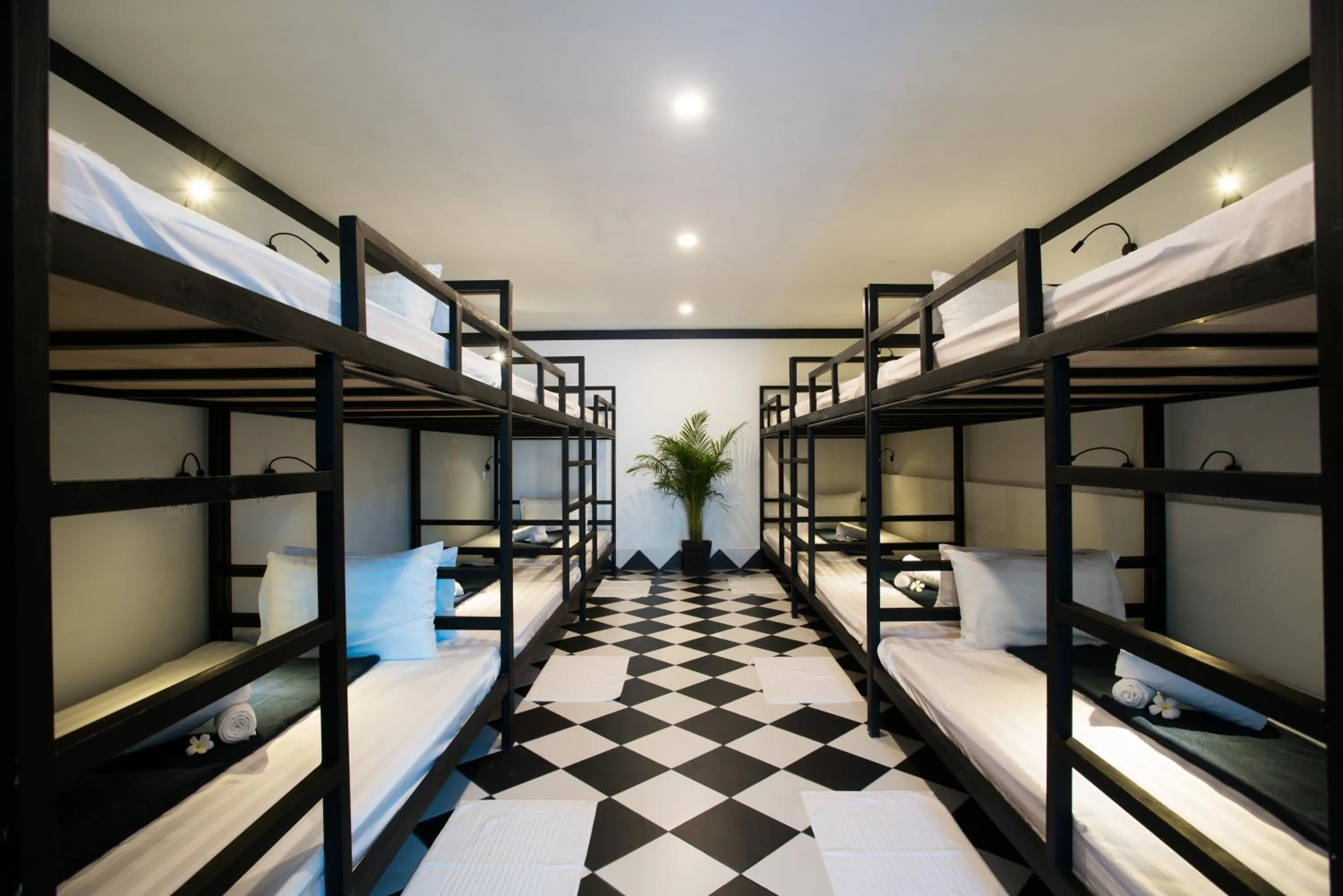 bunk bed, Bed in Noni Tree Hostel