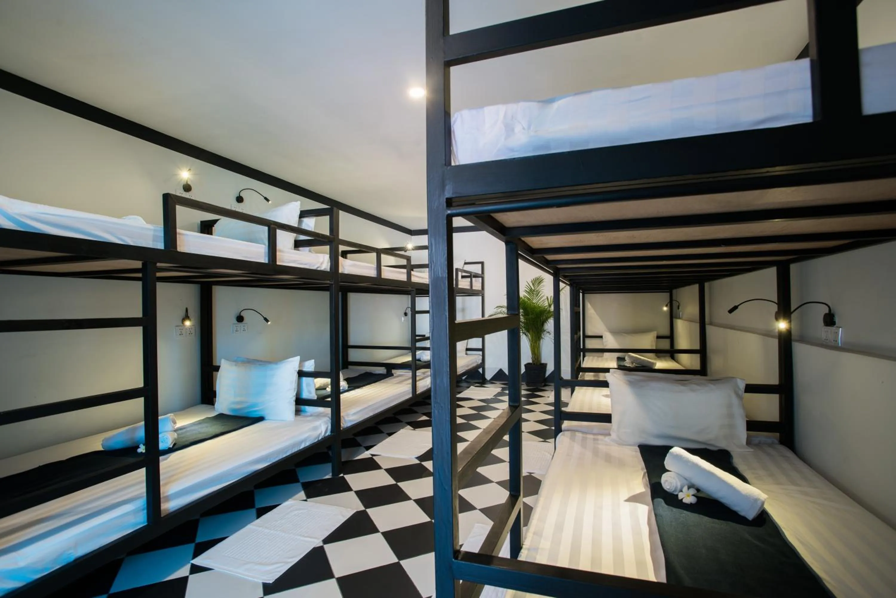 Property building, Bed in Noni Tree Hostel