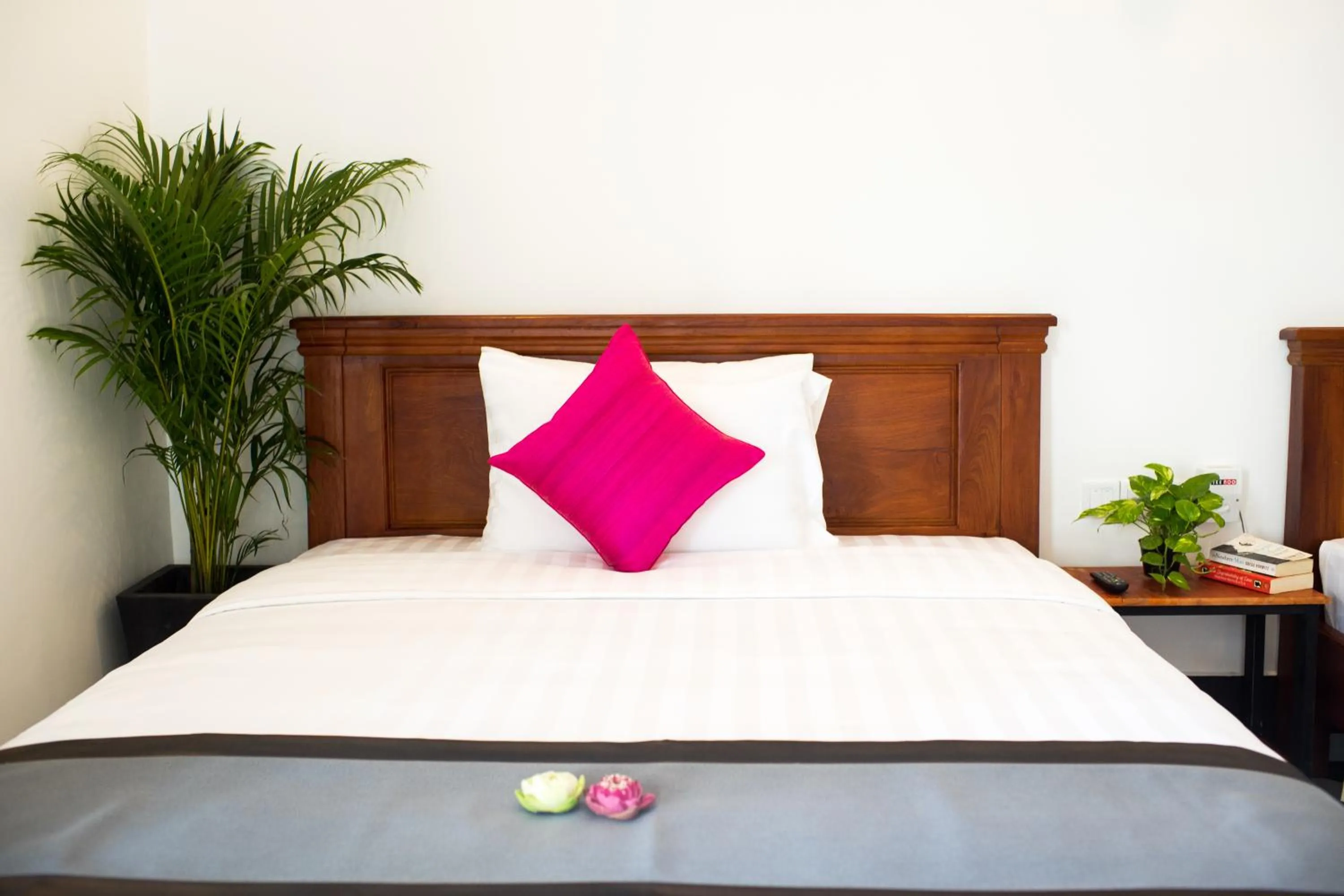 Bed in Noni Tree Hostel