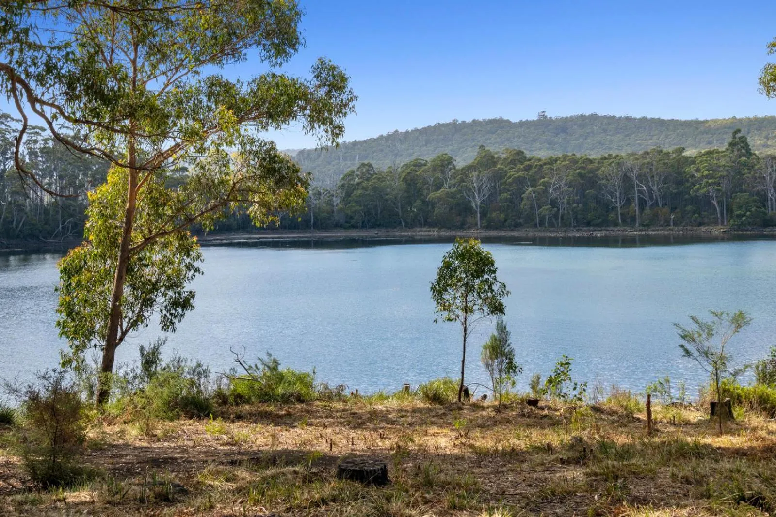 Lake view in The Fox and Hounds Historic Hotel