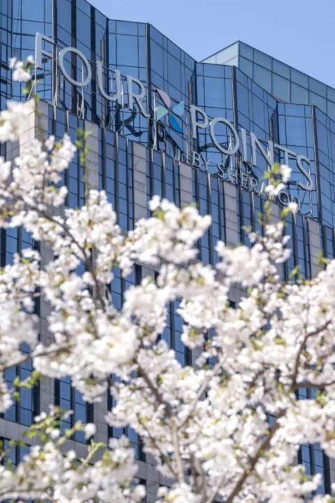 Four Points by Sheraton Suzhou