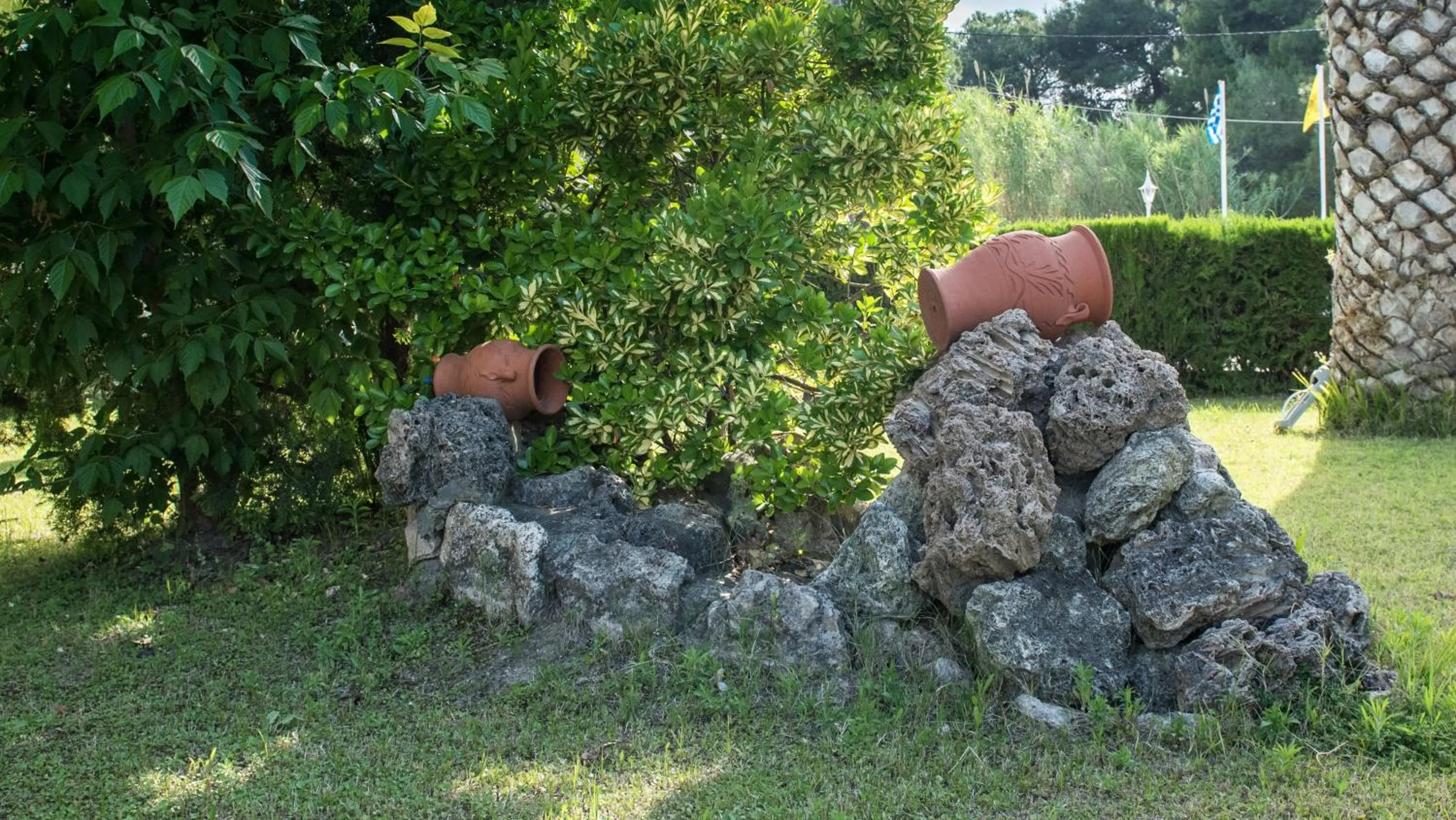 Garden in Hotel Rema