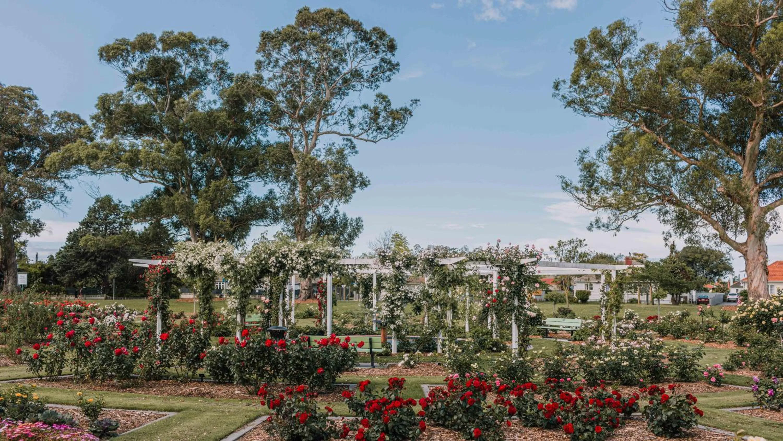 Area and facilities in Kennedy Park Resort Napier