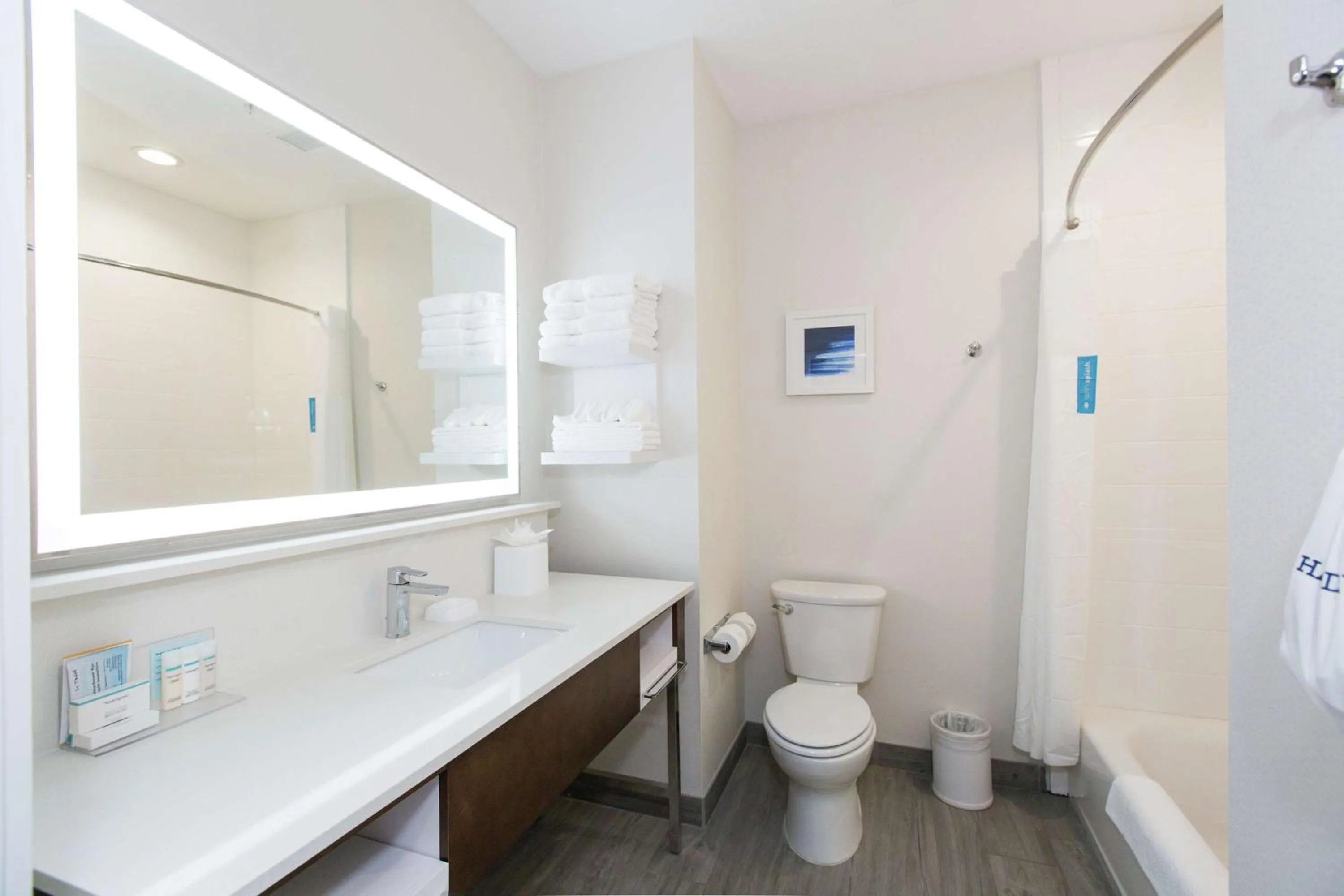 Bathroom in Hampton Inn Mustang