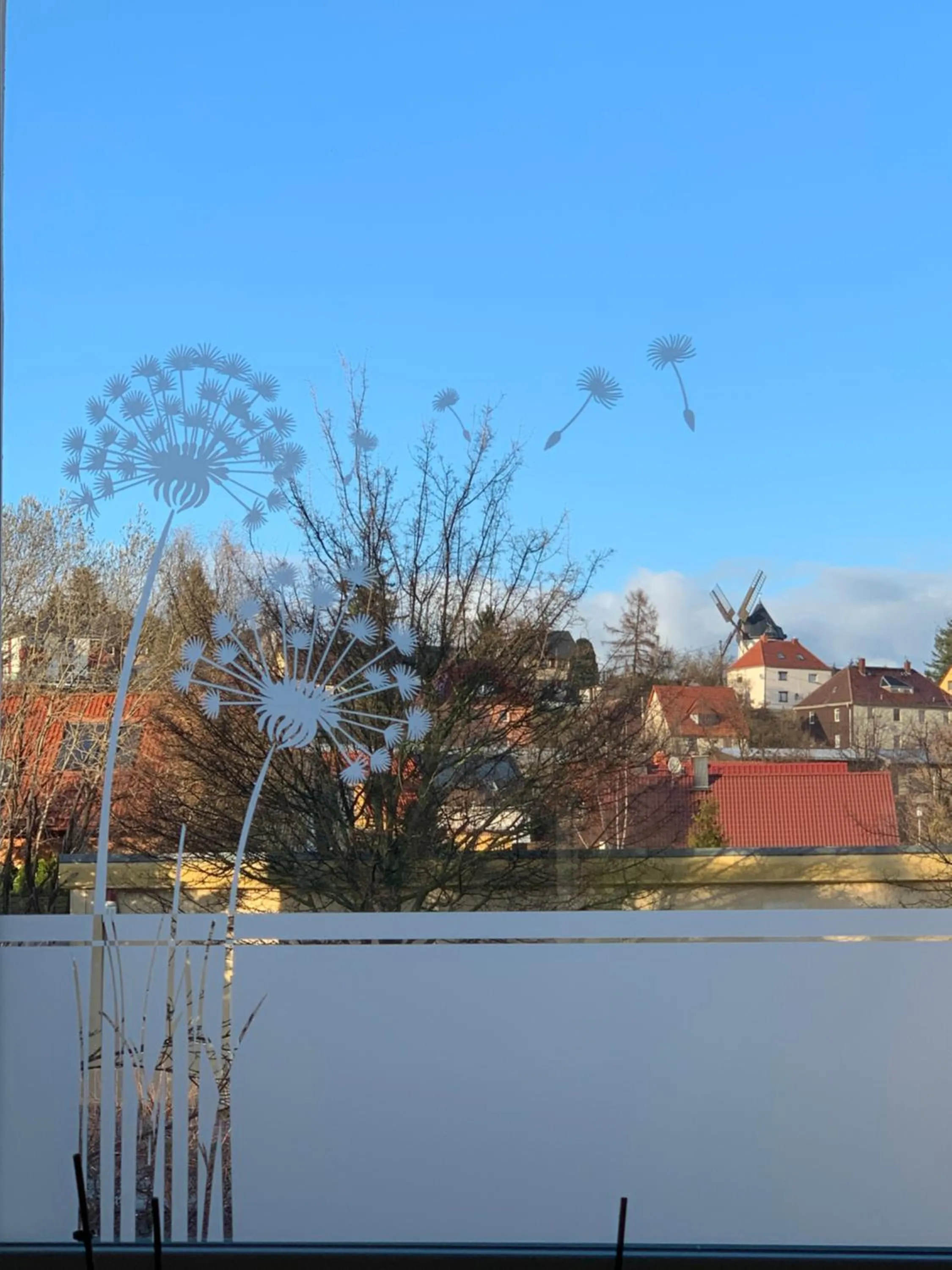 View (from property/room) in Hotel Bannewitz B&B