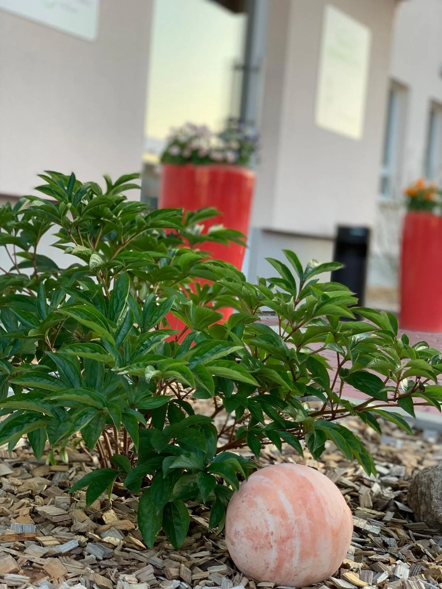 Other in Hotel Bannewitz B&B