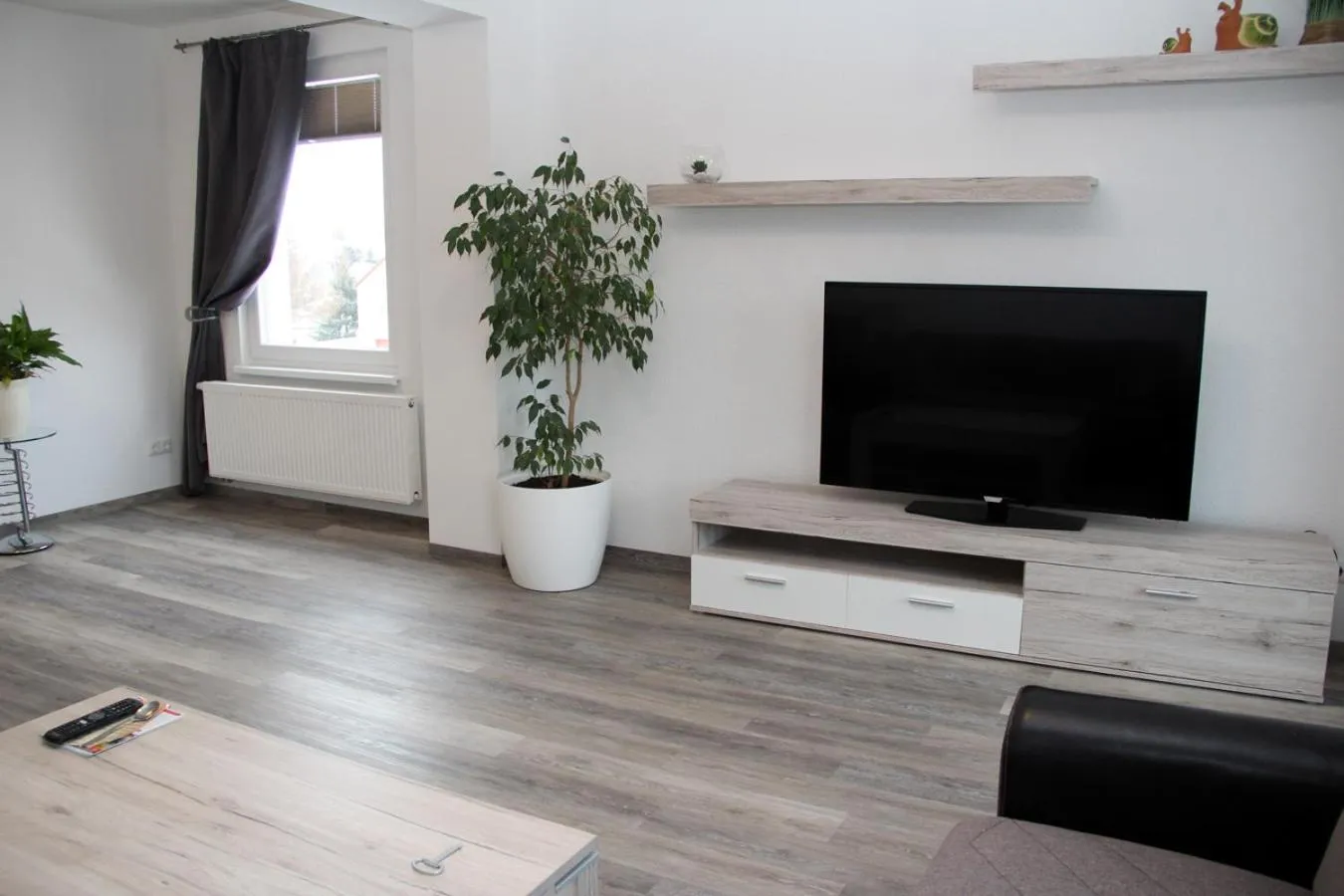 TV and multimedia in Hotel Bannewitz B&B