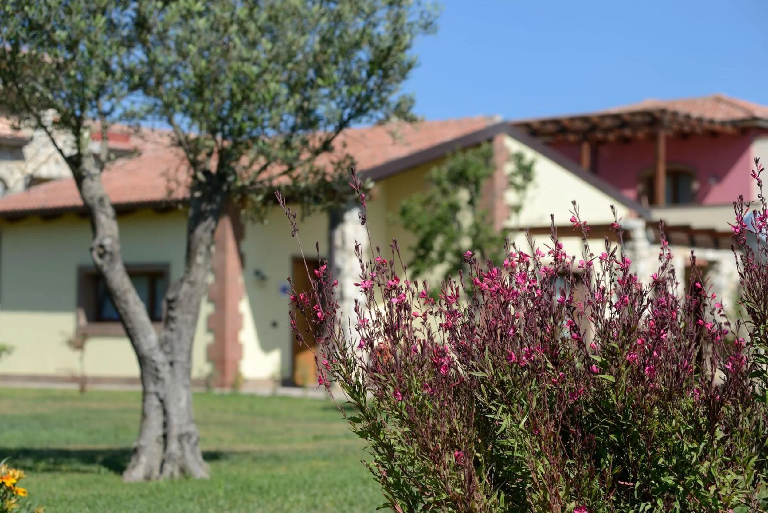Garden in Hotel Sa Cheya Relais & Spa