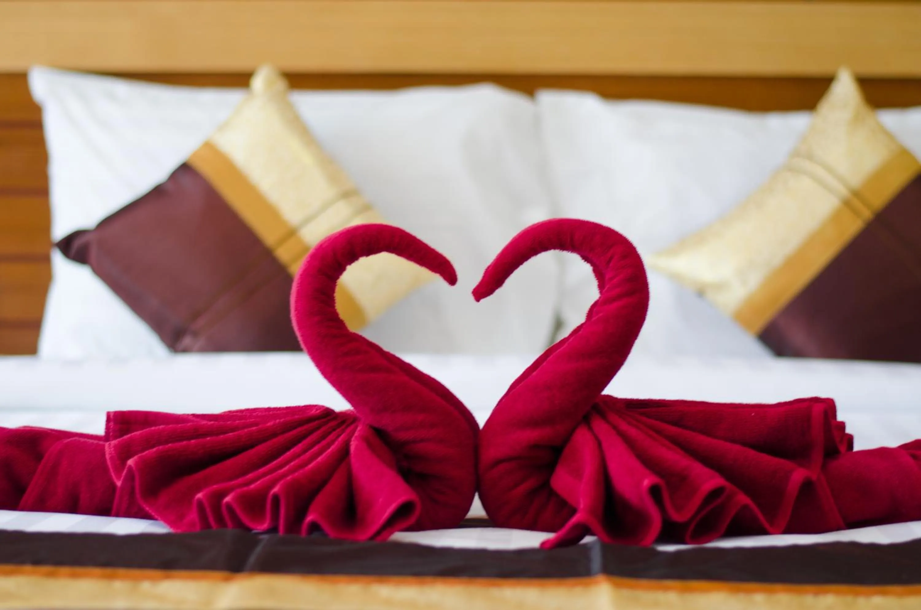 Bed in Sleep In Lanta Resort