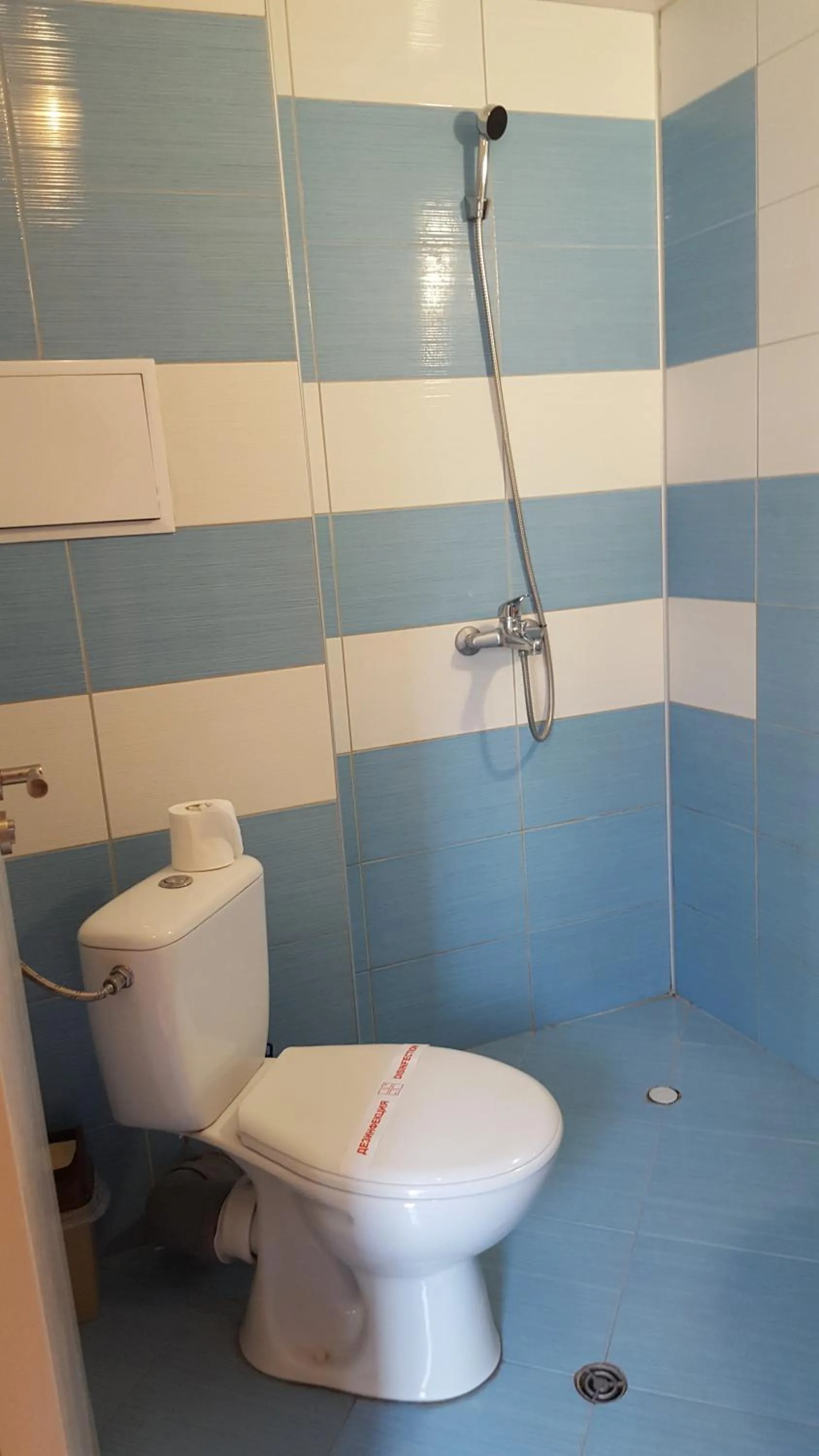 Rose Garden Omax Apartments