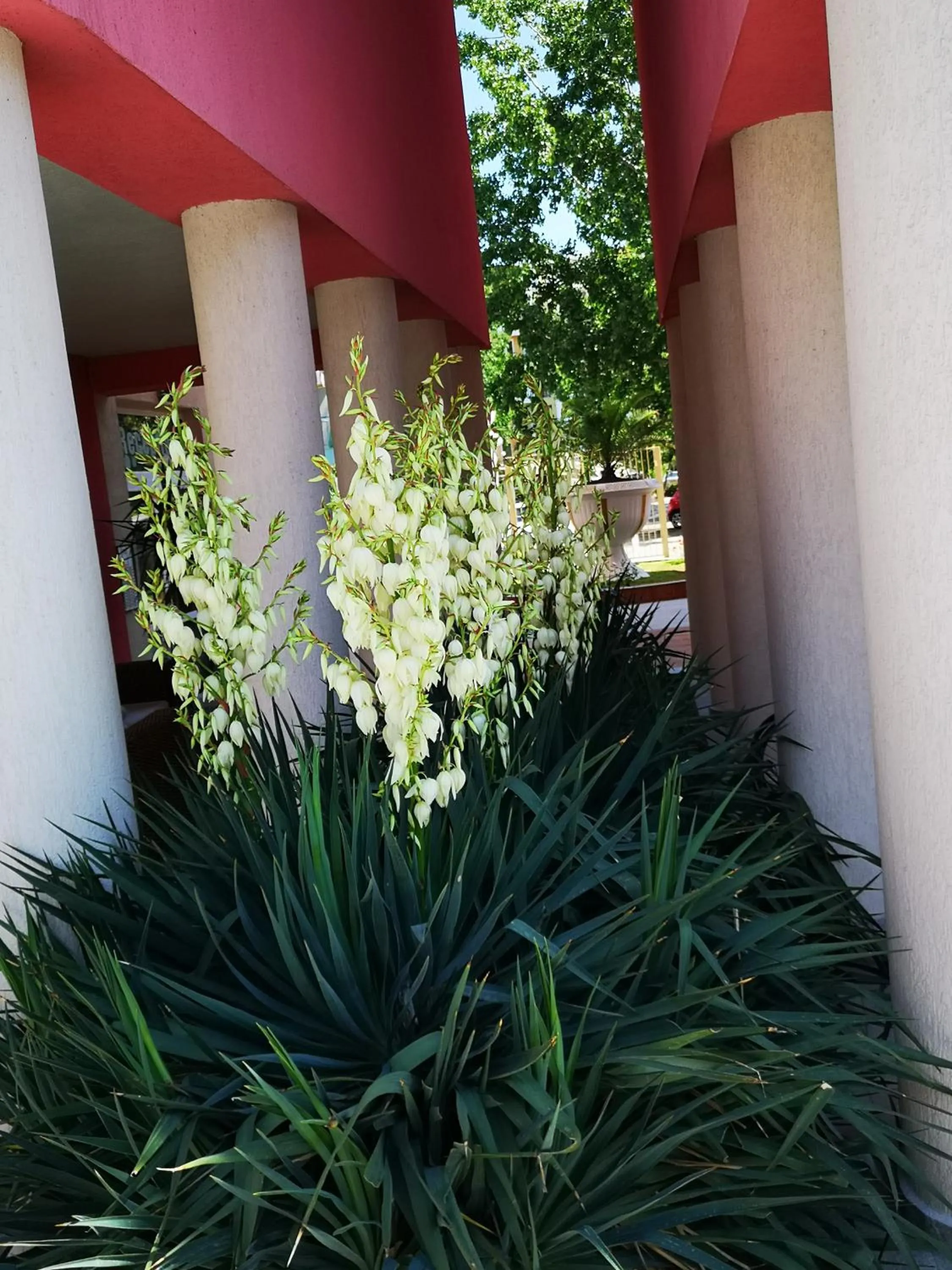 Rose Garden Omax Apartments