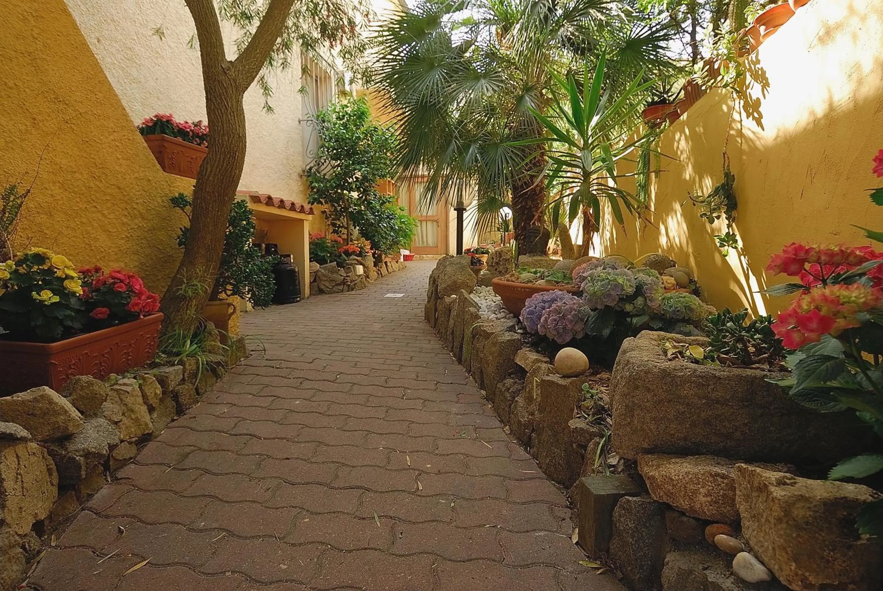 Garden in La Chicca di Francesca