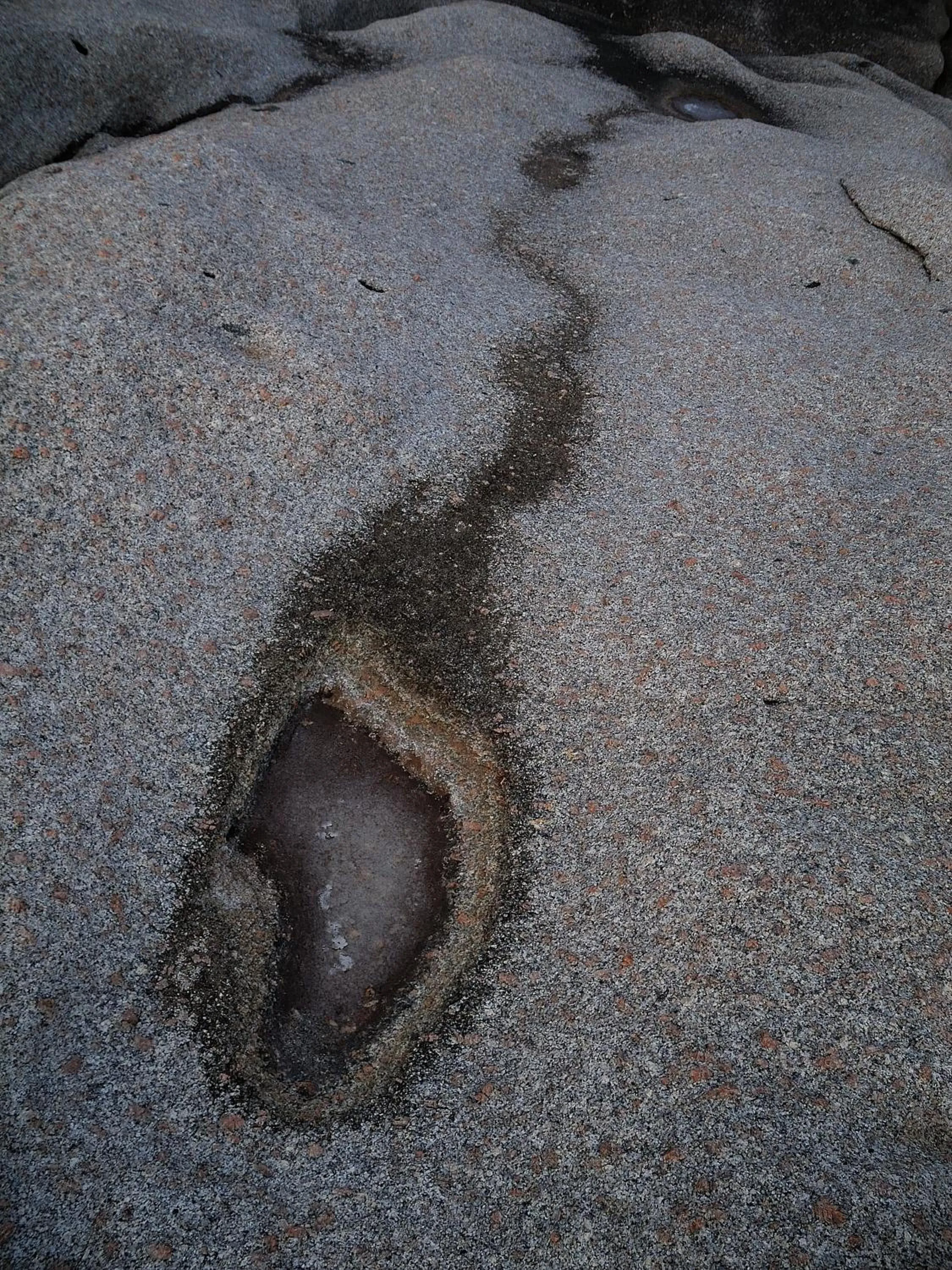 La Chicca di Francesca