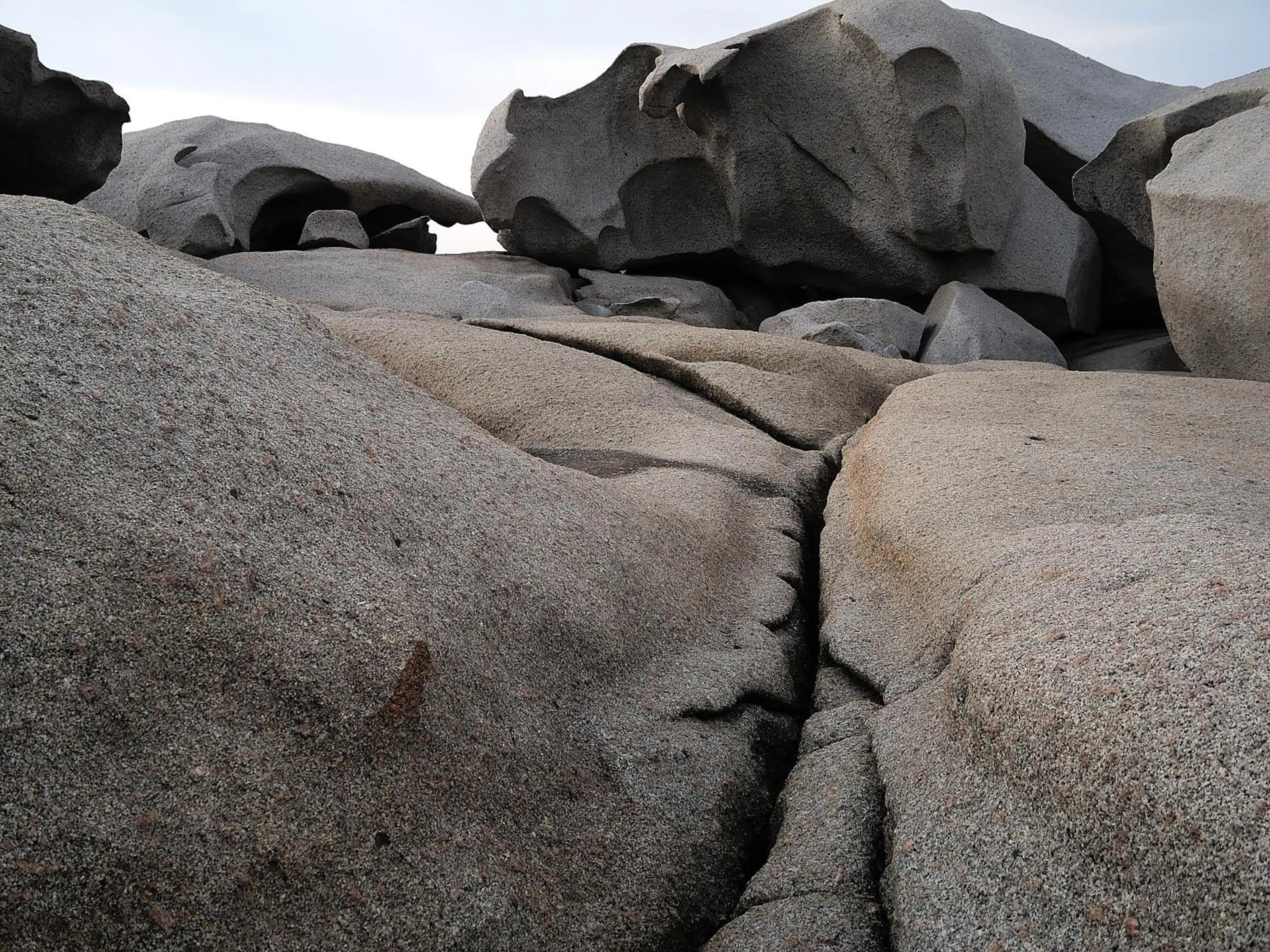 La Chicca di Francesca