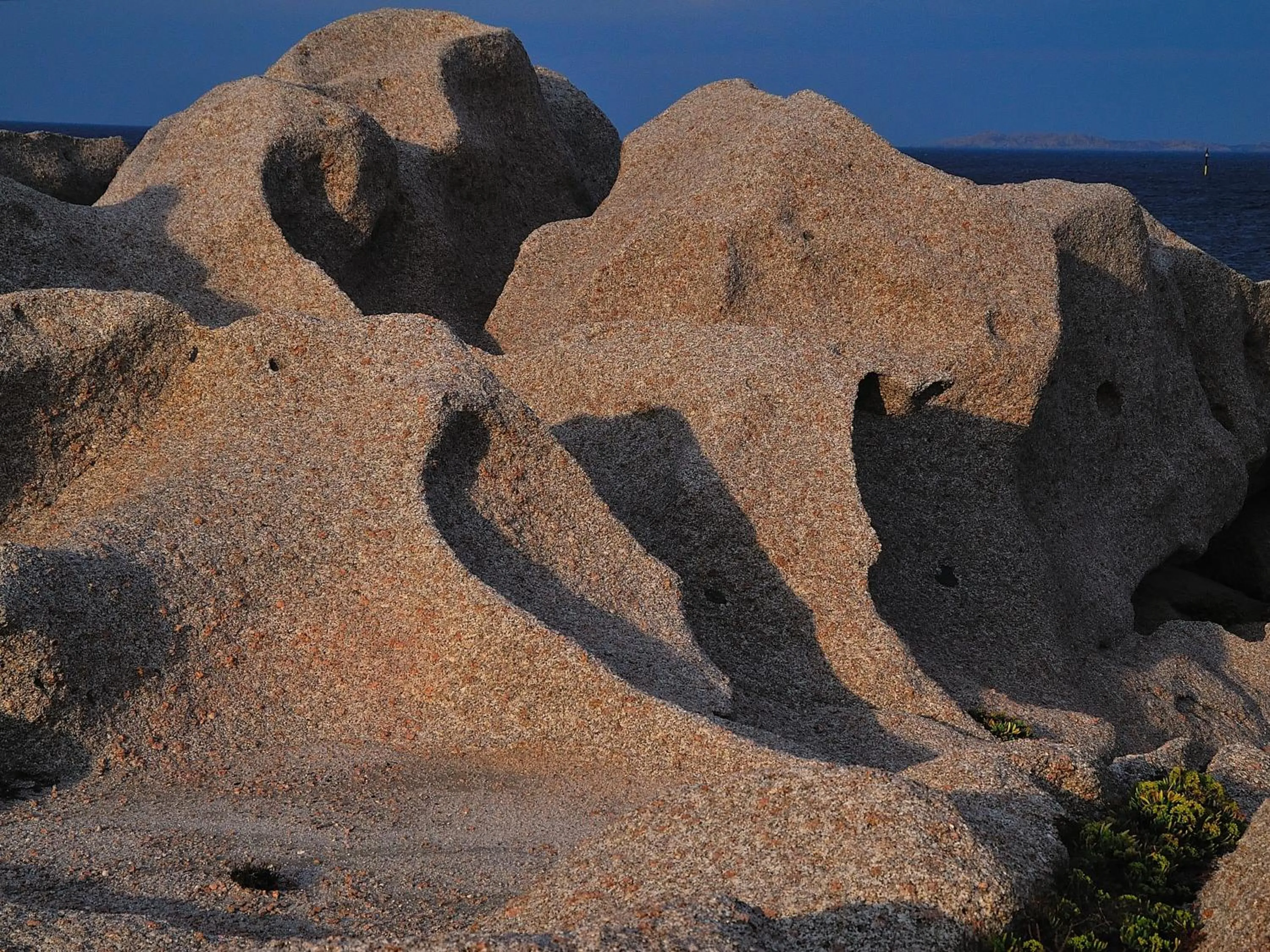 La Chicca di Francesca