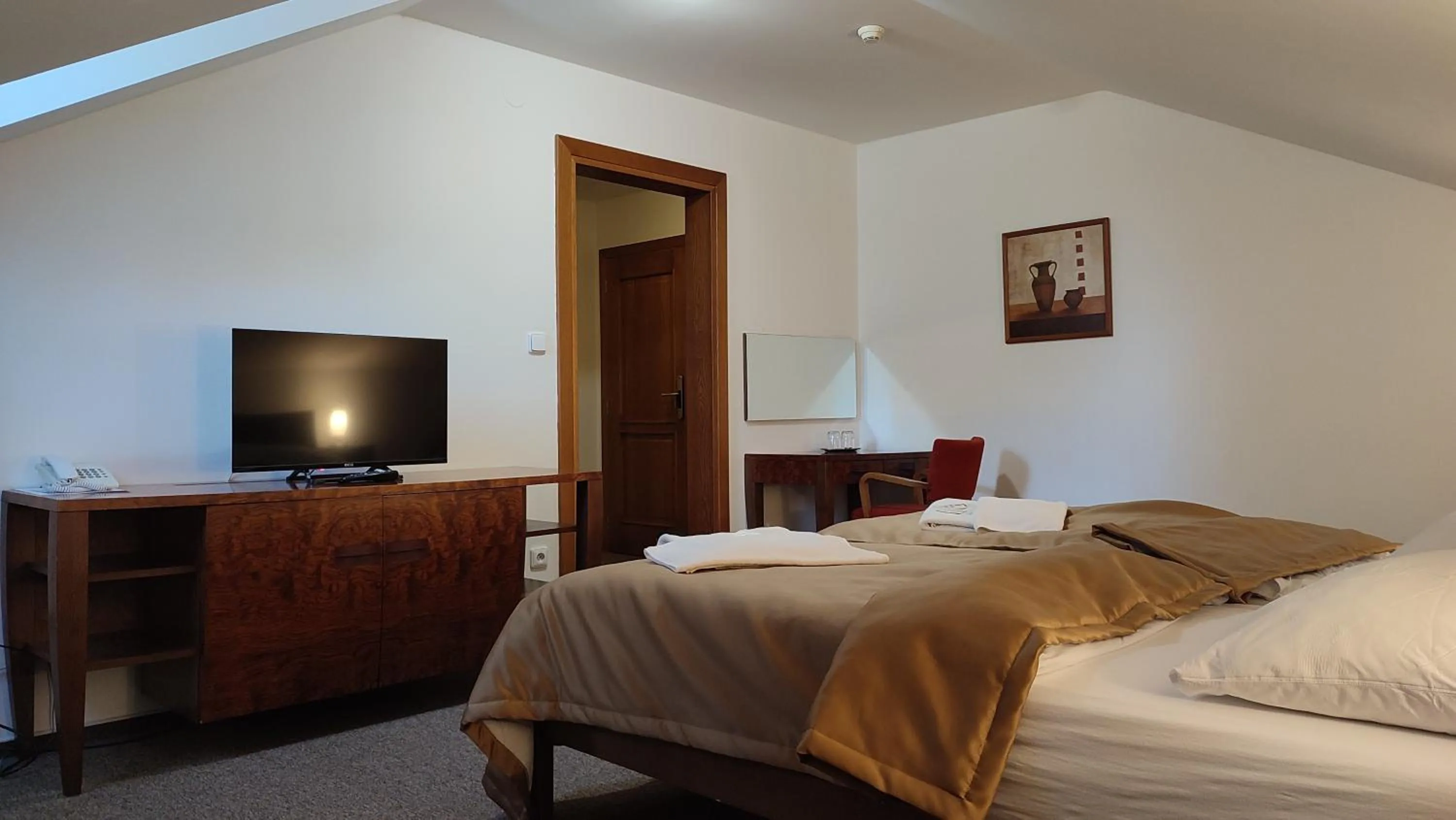 Double or Twin Room - single occupancy in Hotel Vion