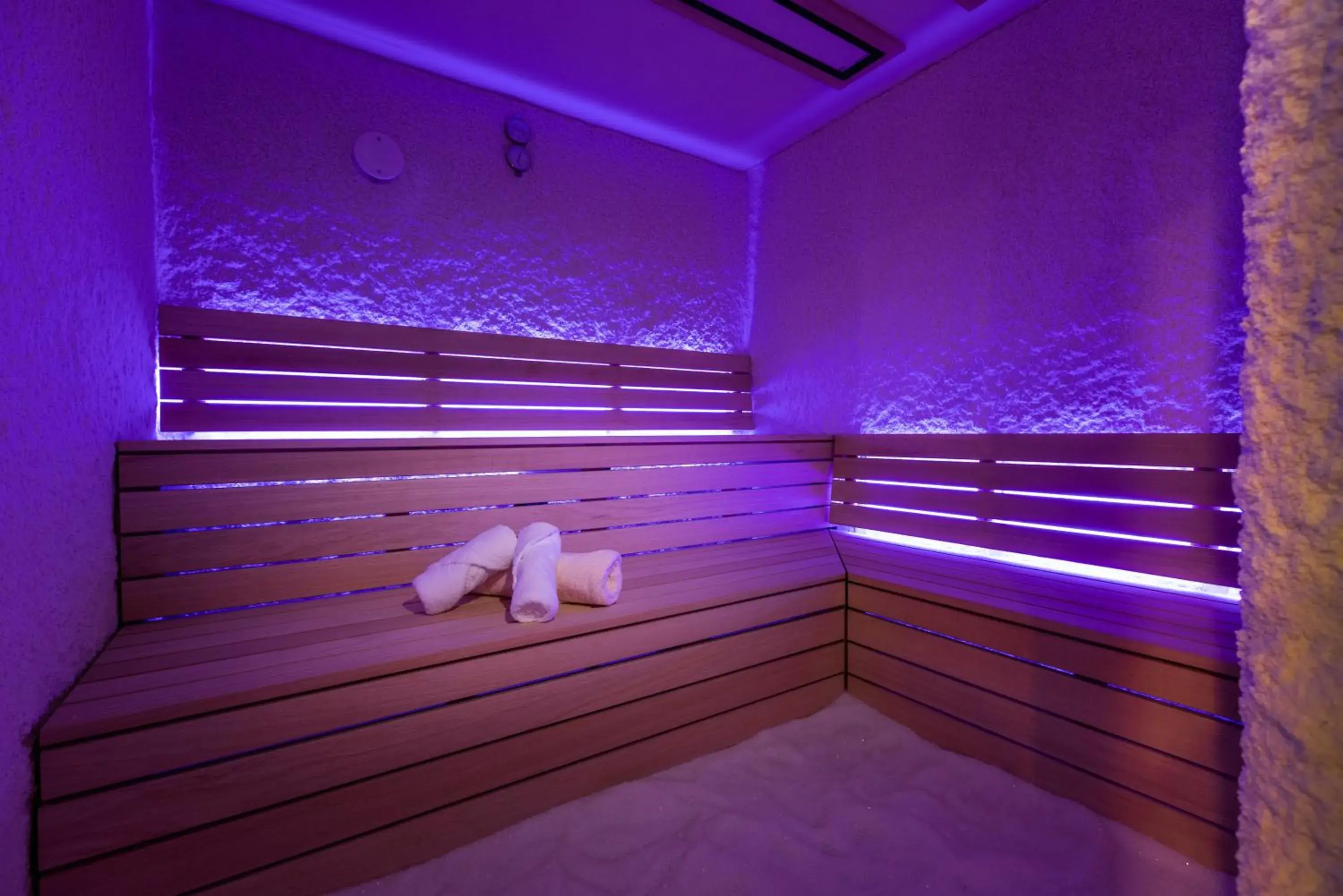 Spa and wellness centre/facilities in Hotel Vile Park