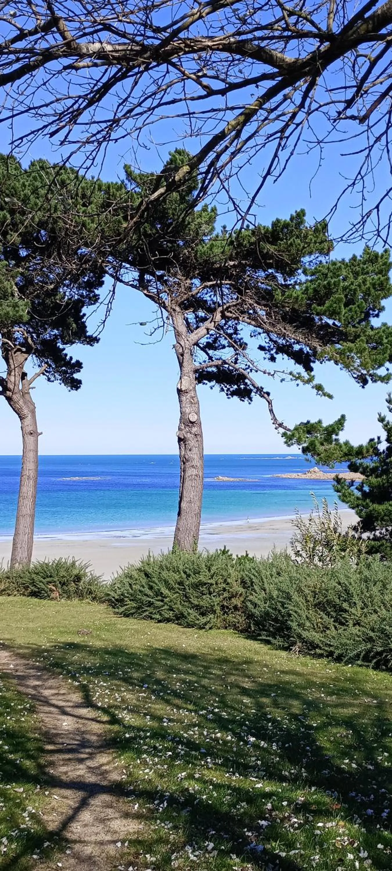 On site in Les Hortensias GR 34 - Chambres d'Hôtes