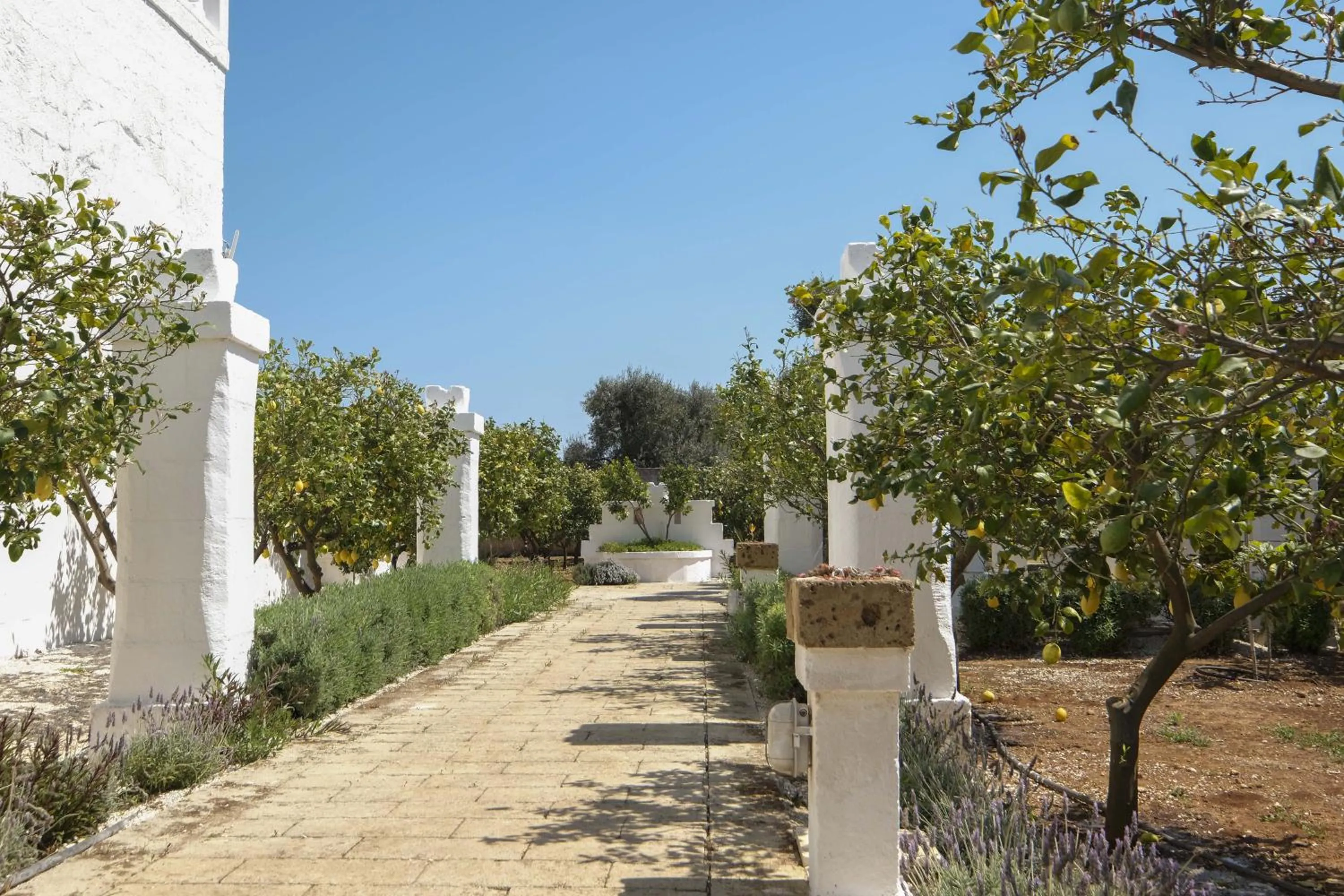 Day in Masseria Mammella