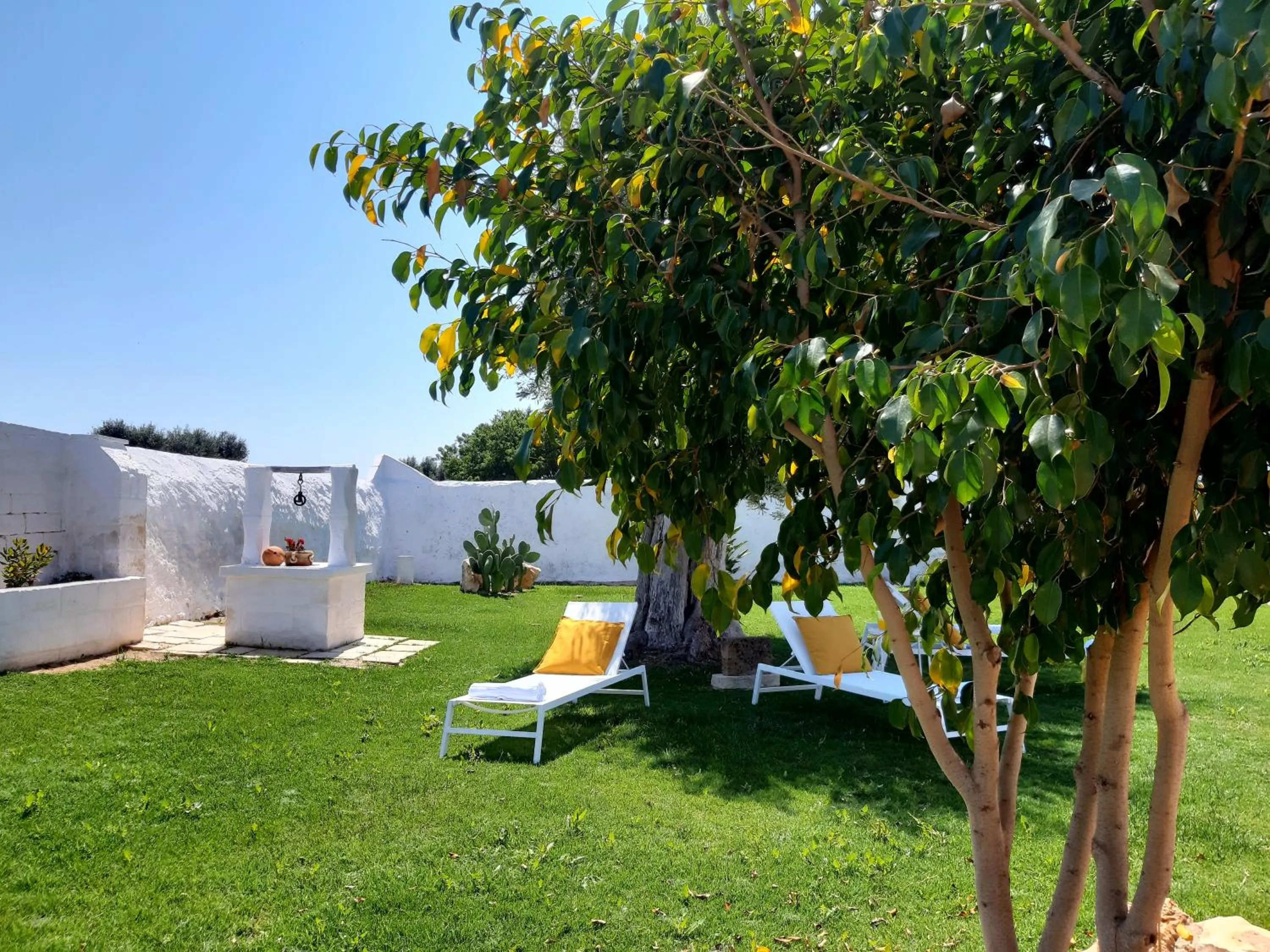 Garden in Masseria Mammella
