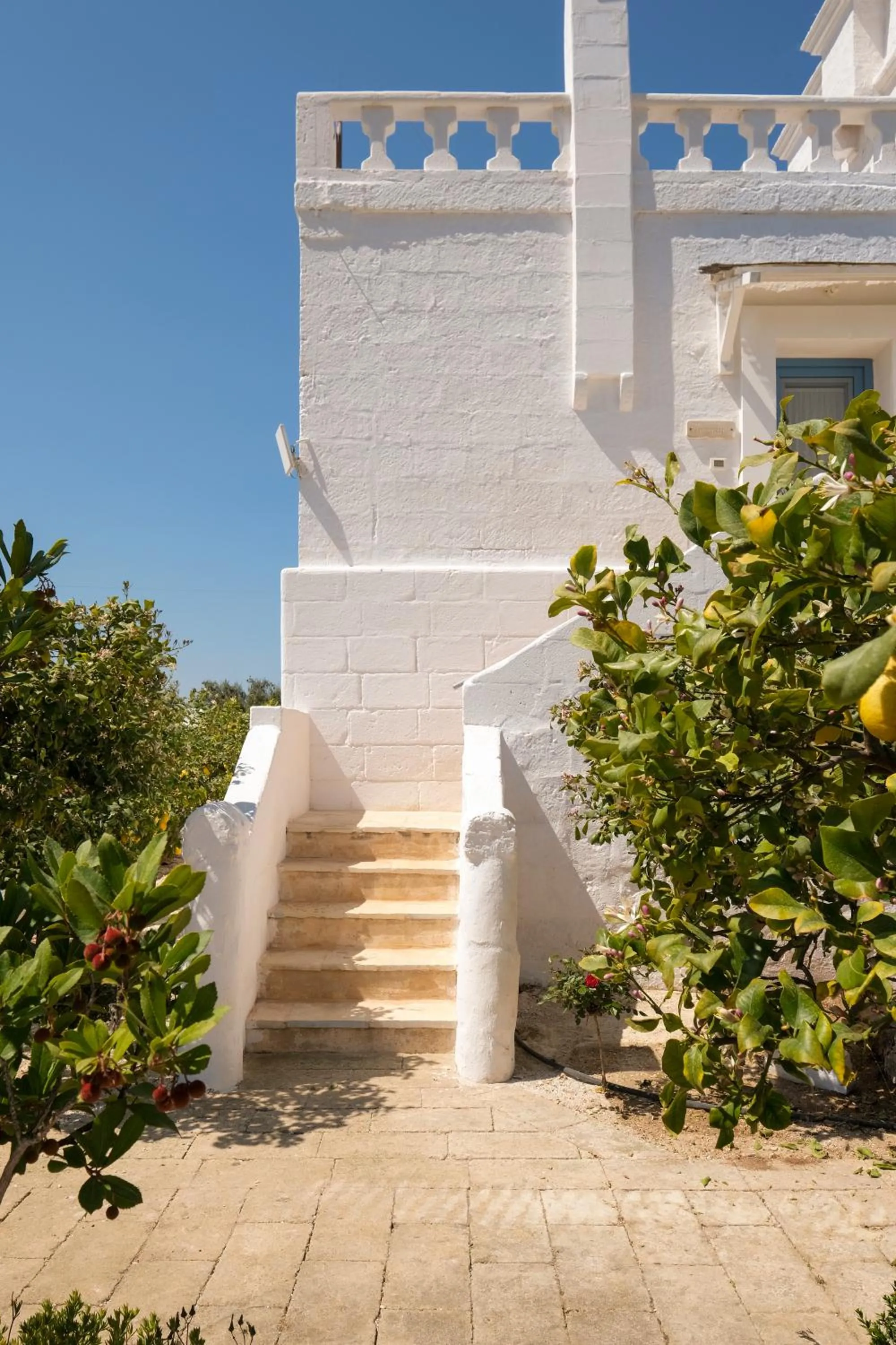 Property building in Masseria Mammella