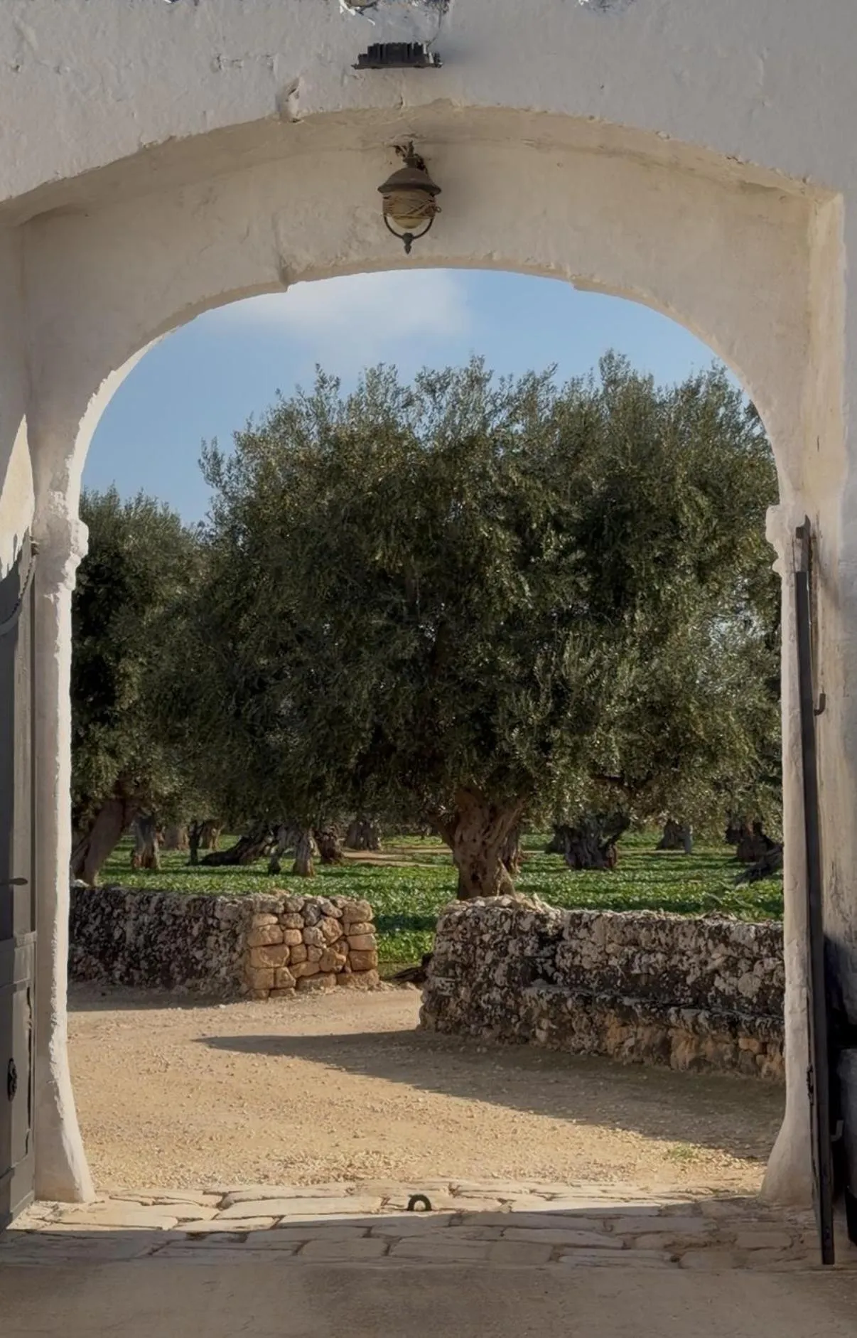 Property building in Masseria Mammella