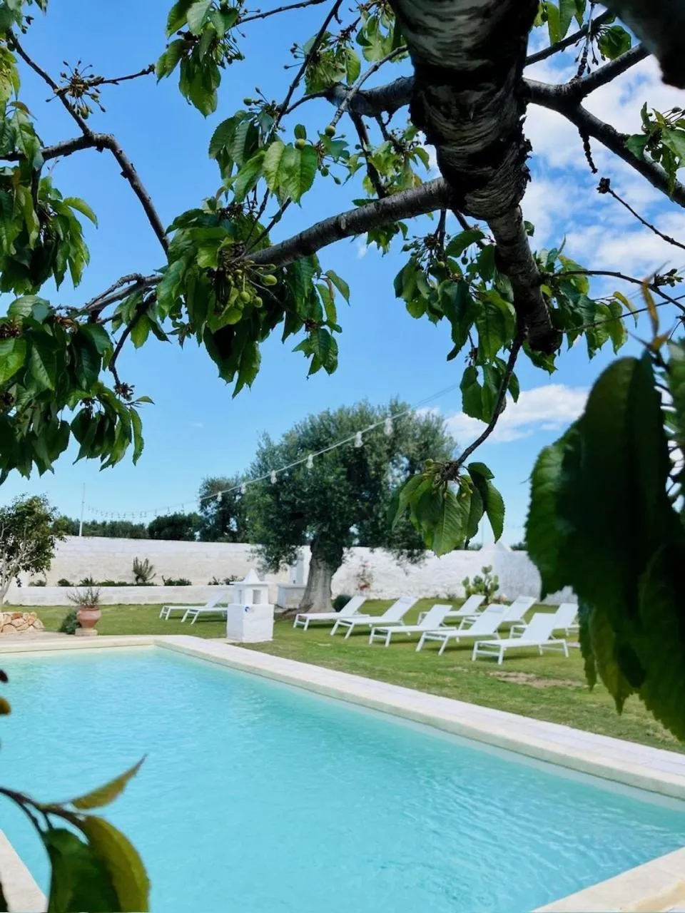 Day in Masseria Mammella