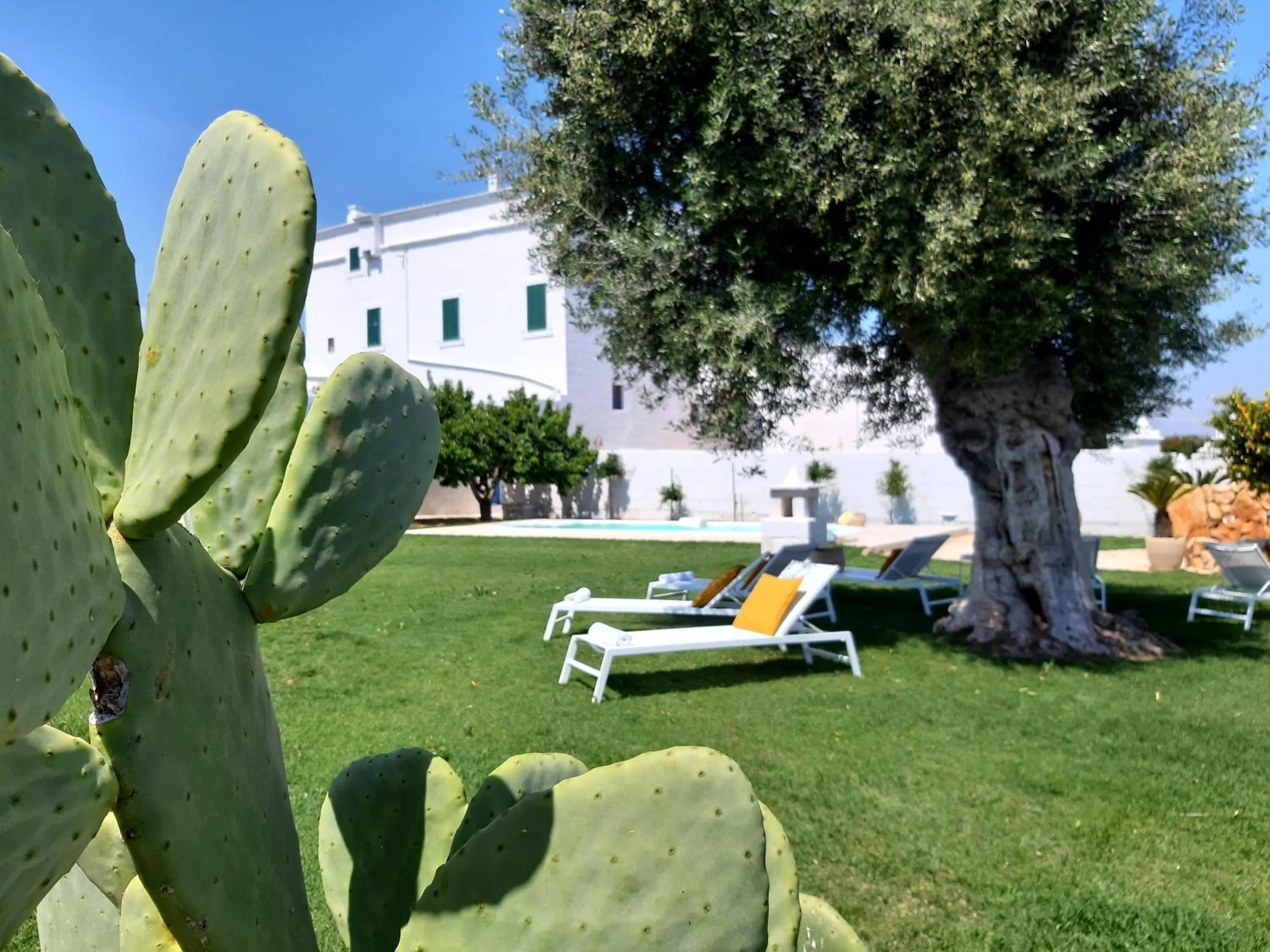 Garden in Masseria Mammella