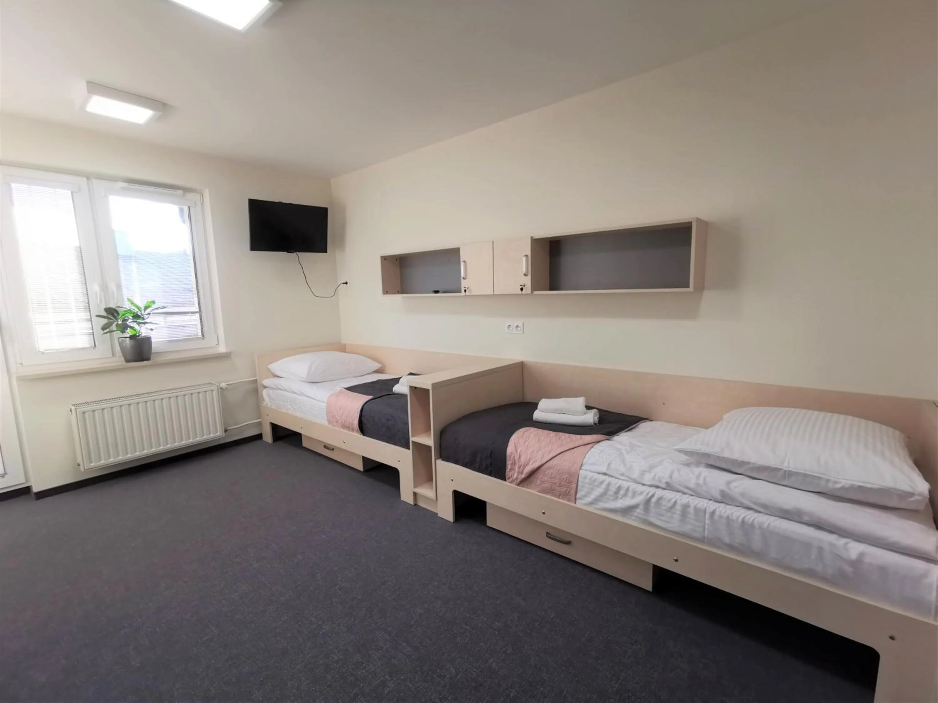 Dom Studencki Zaułek