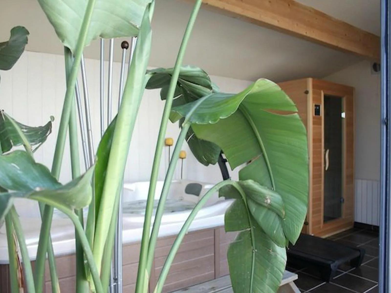 Spa and wellness centre/facilities in Entre Mer et Vignes