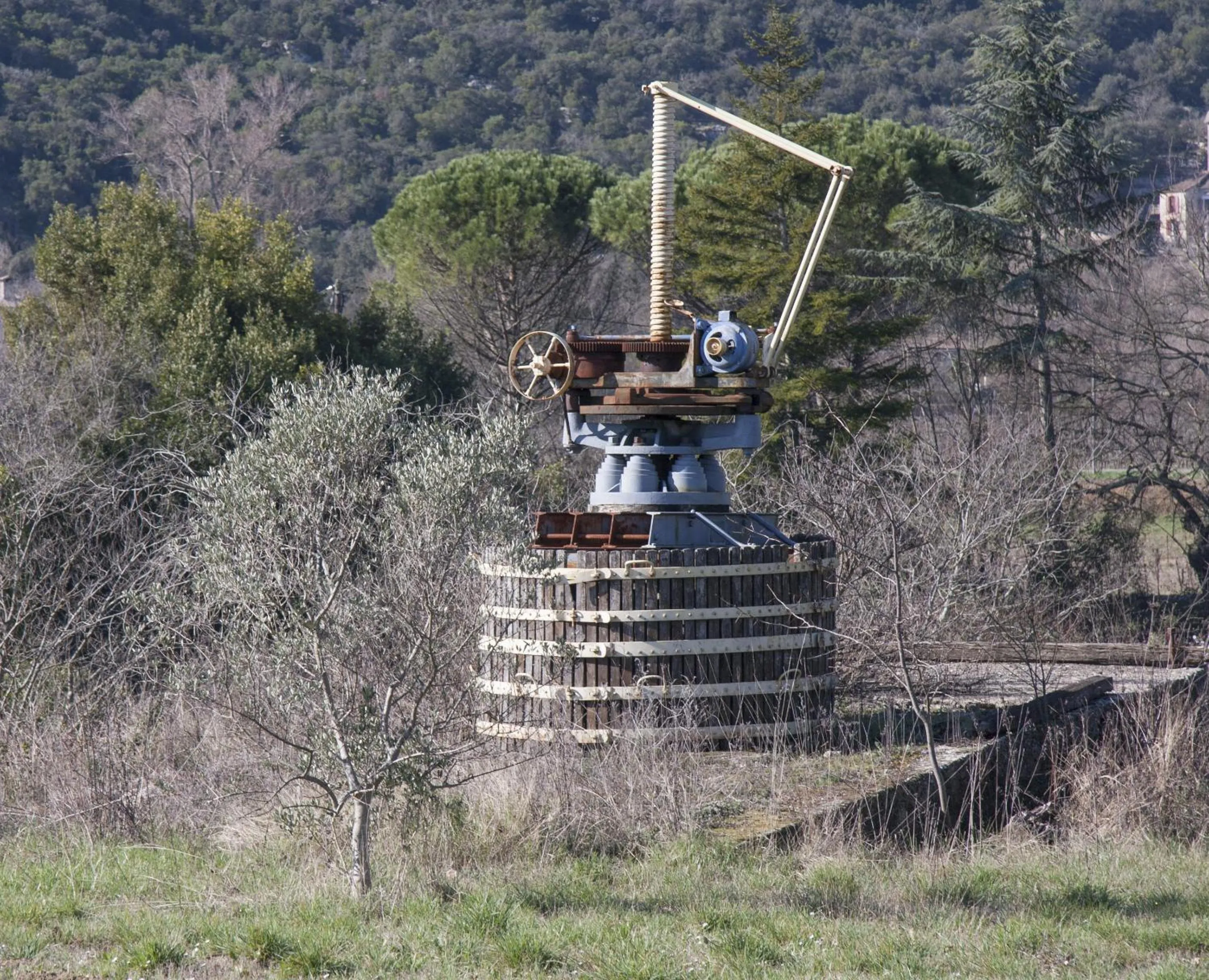 Garden in Domaine Mas Pigné