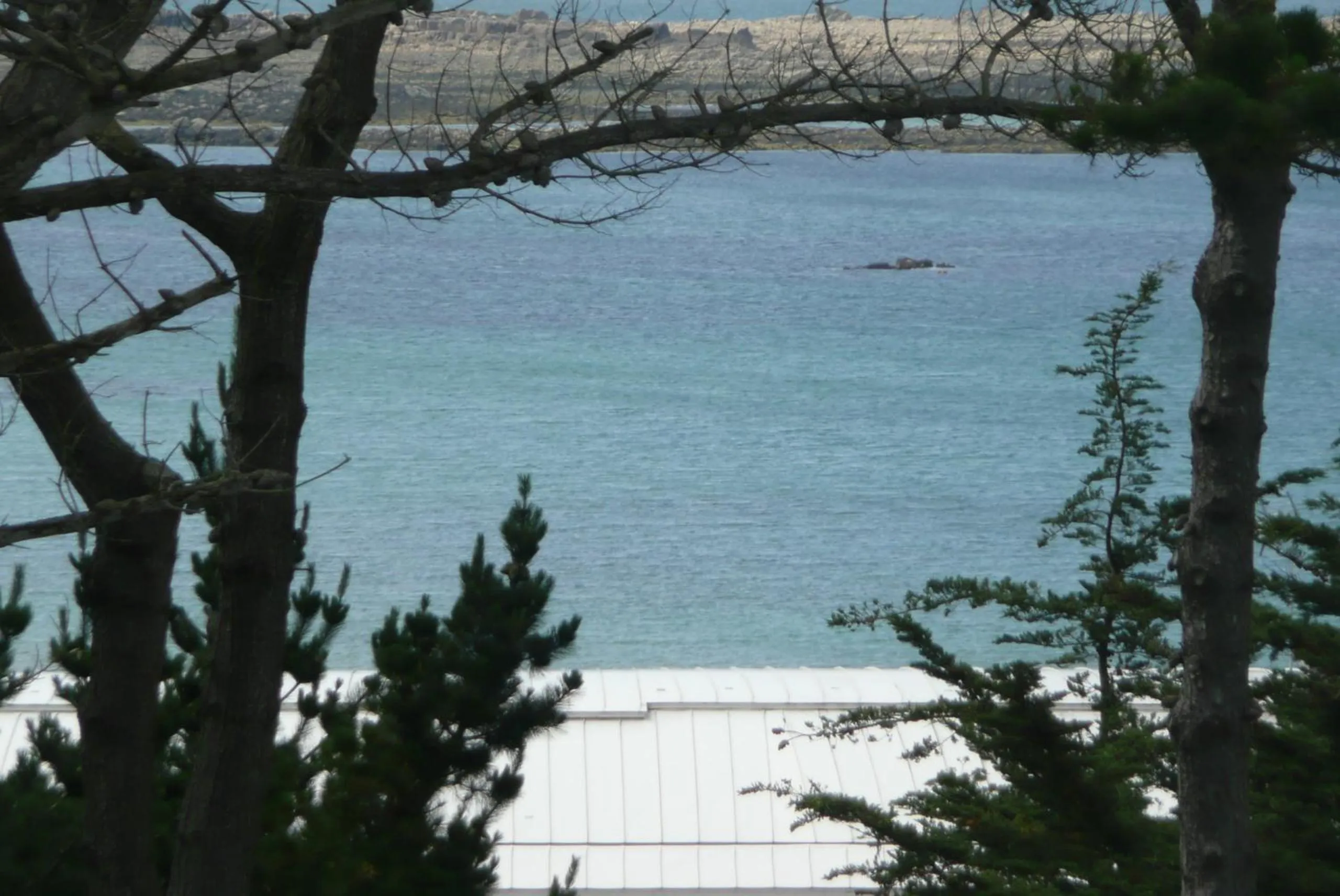 Area and facilities in Résidence Saint-Yves