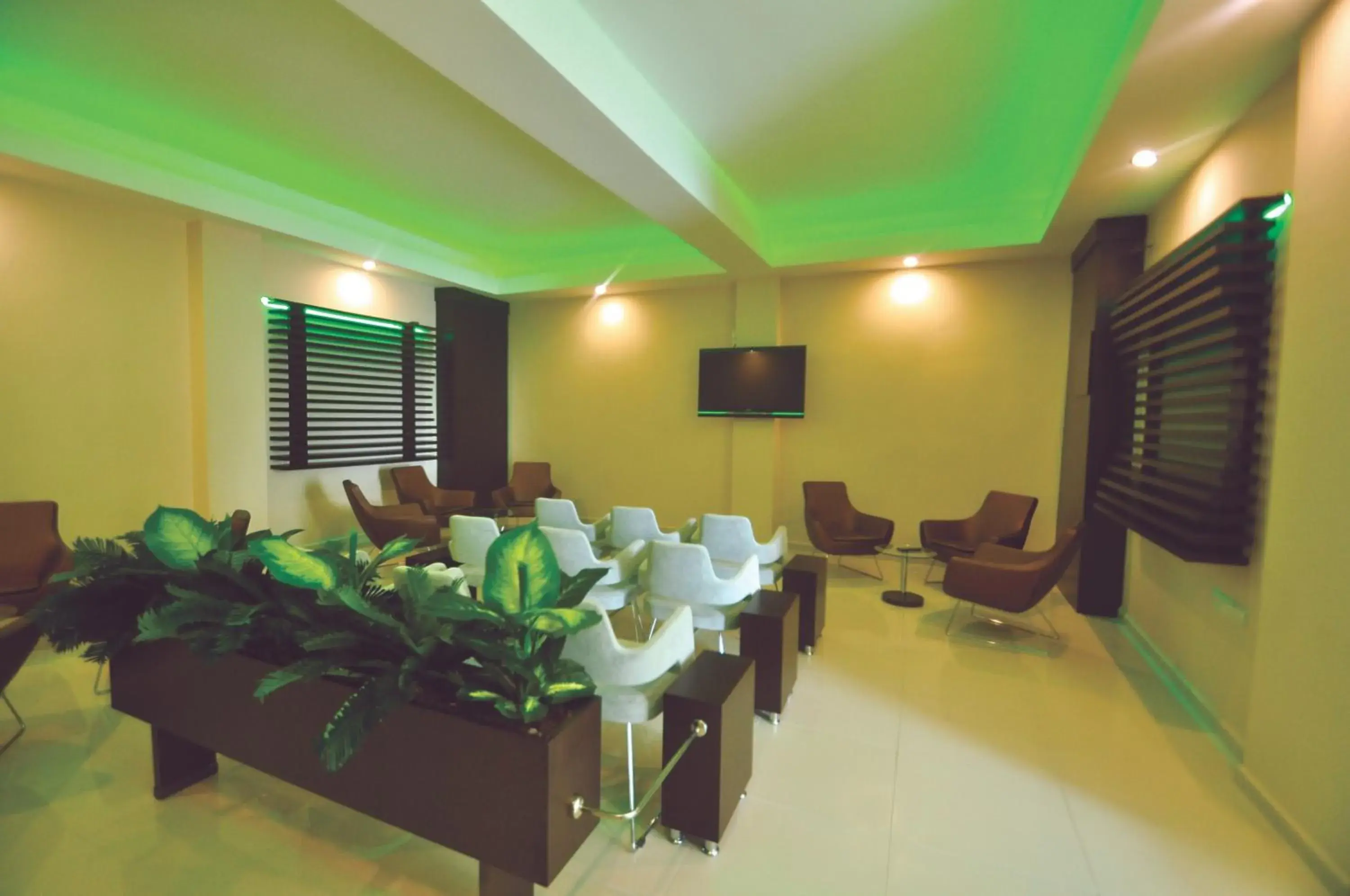 Communal lounge/ TV room in Sunny Hill Alya Hotel