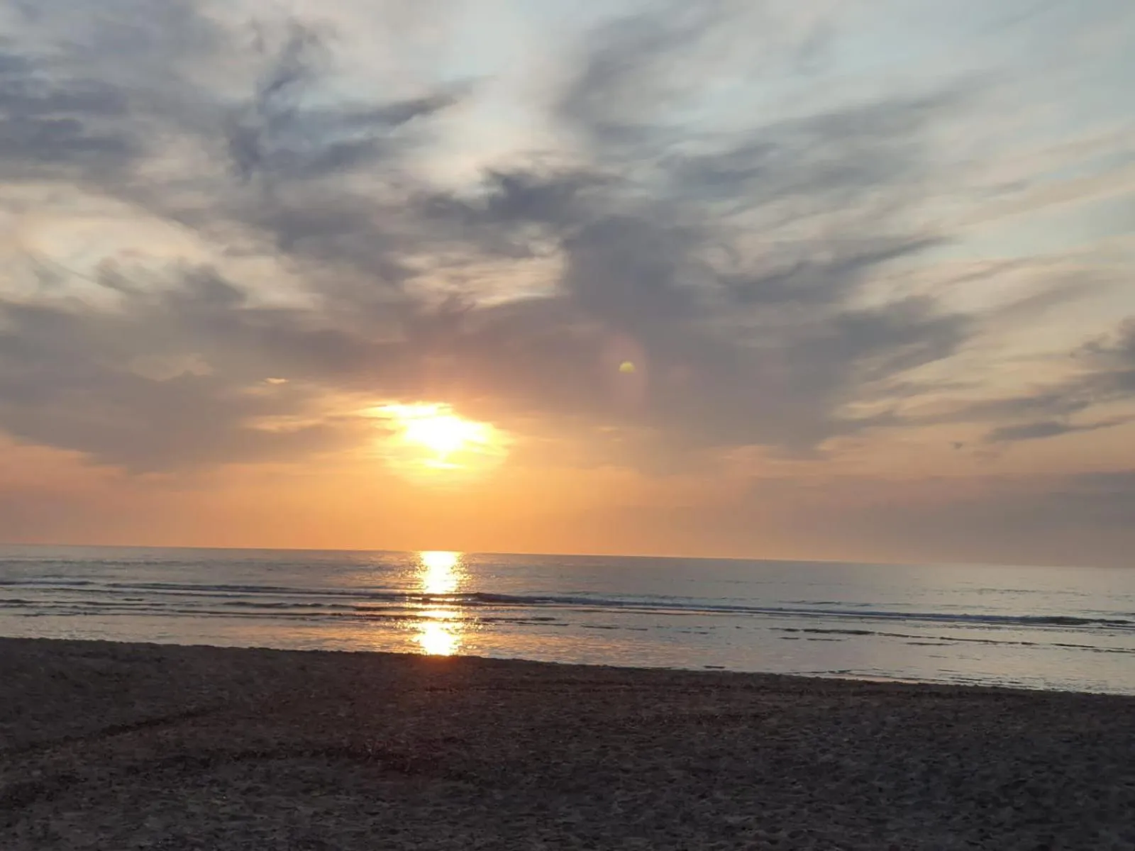 Beach in B&B Dennenbos