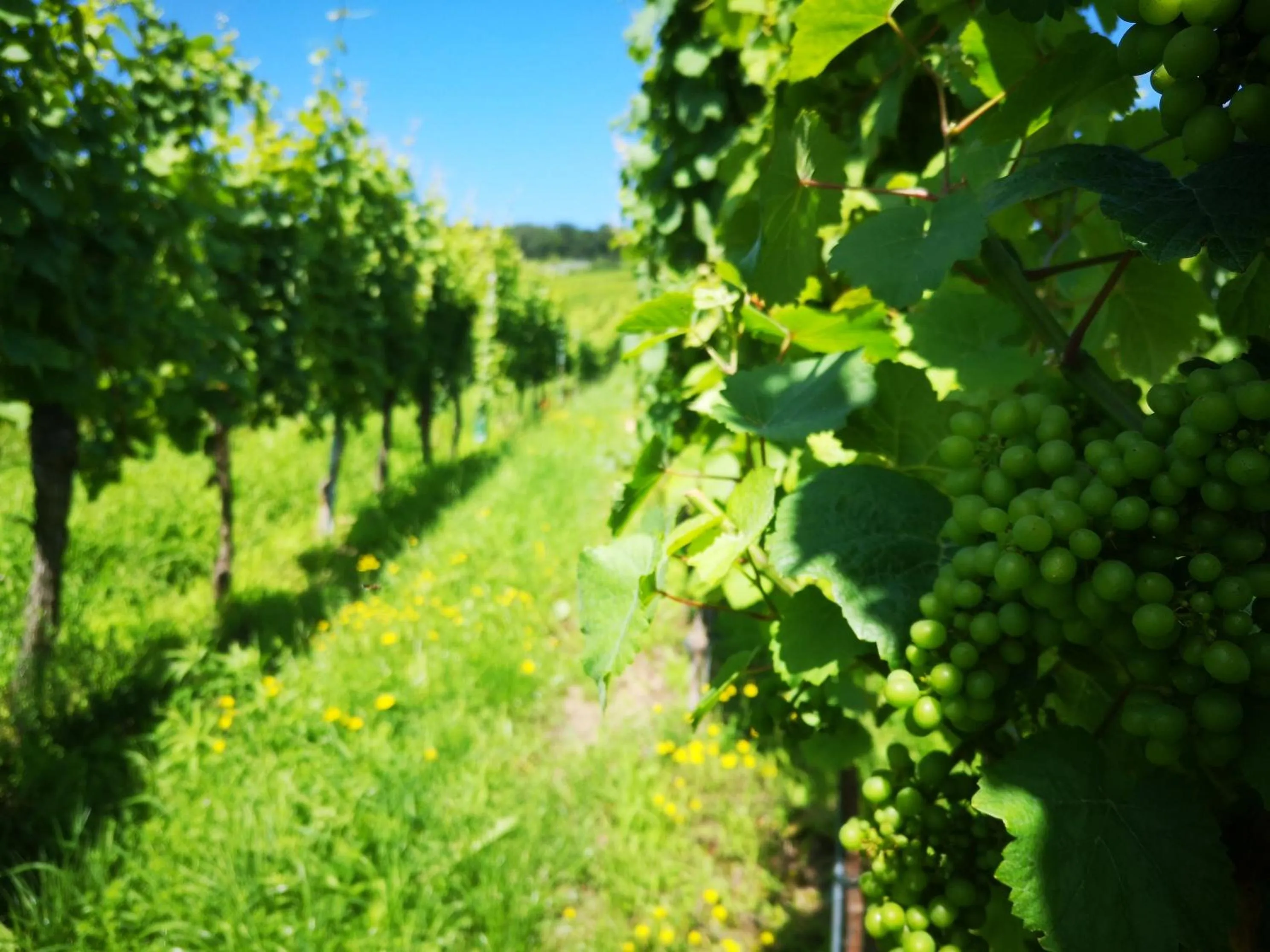 Natural landscape in Chambres d'Hôtes Arnold