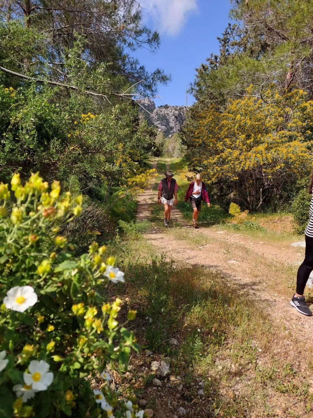 Hiking in Exotic Hotel & SPA