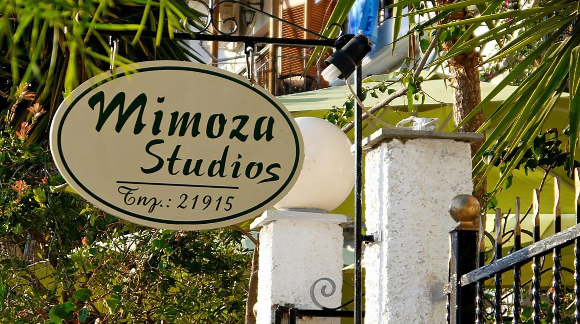 Property logo or sign in Mimoza Studios