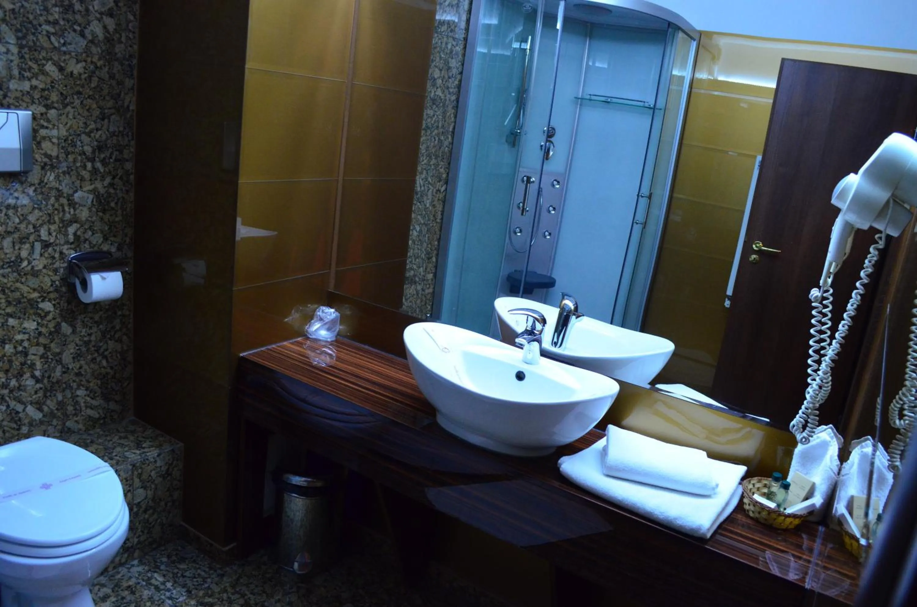 Shower in Hotel Best