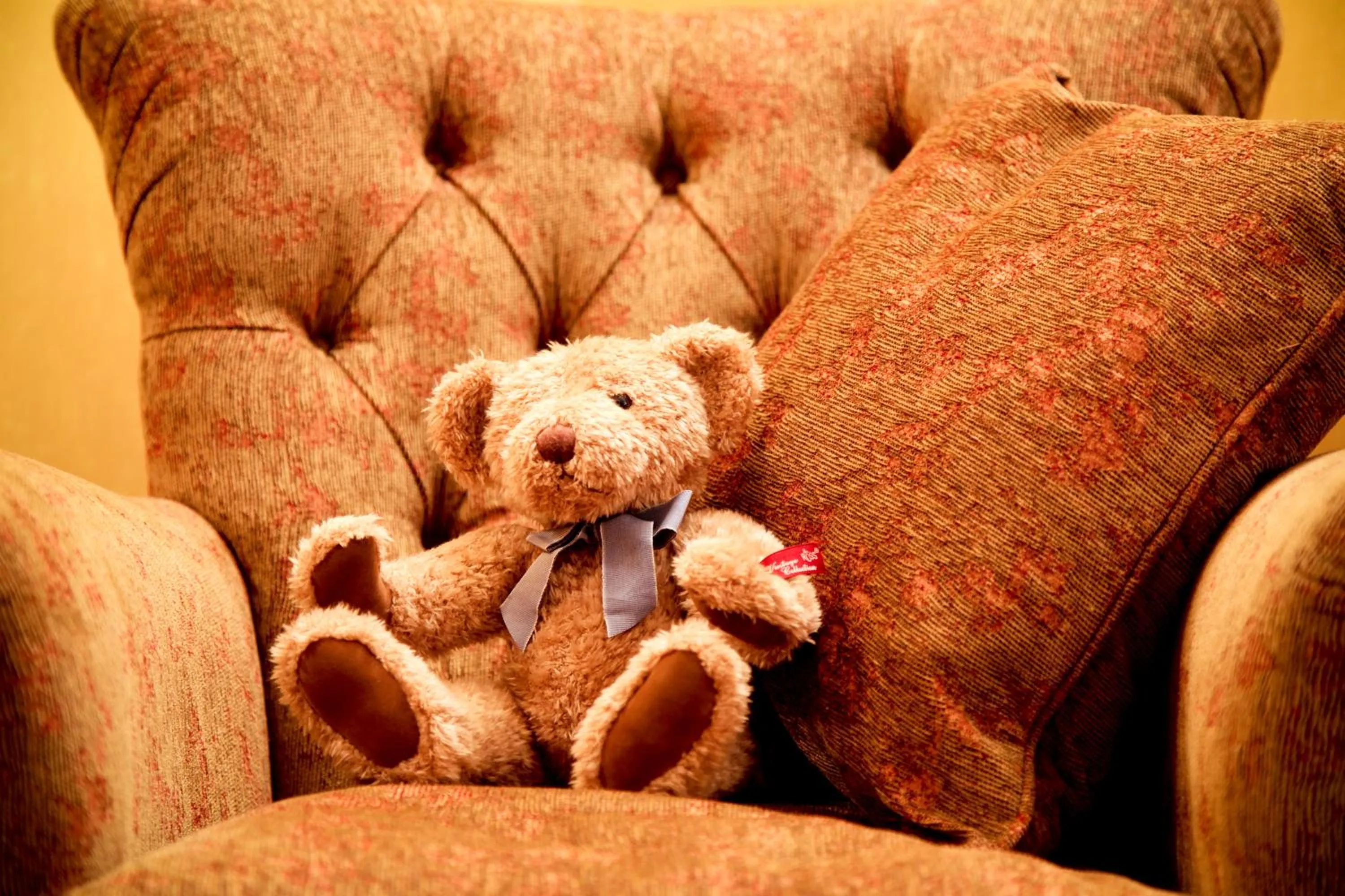 Other in Ardmore Country House