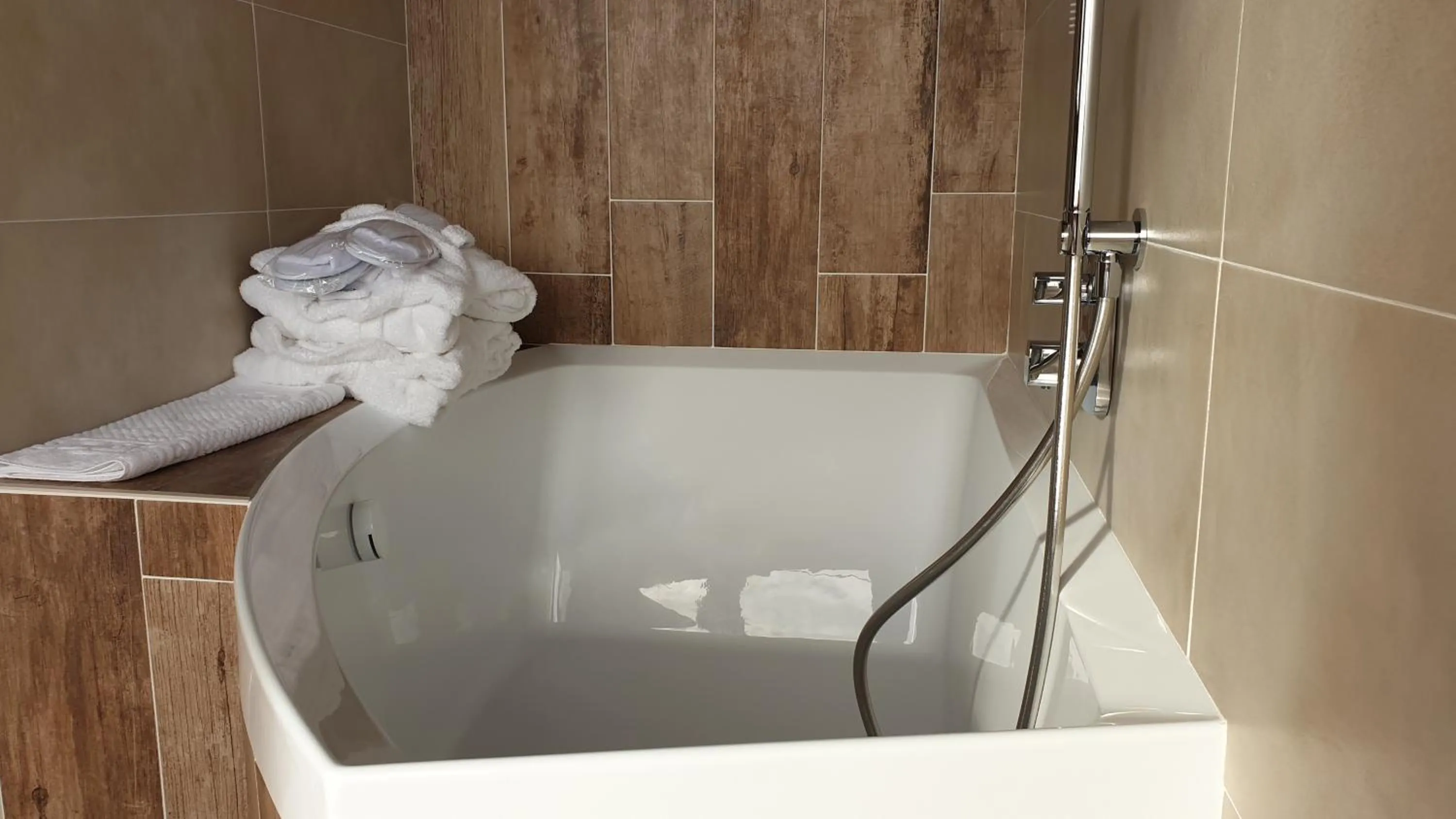 Bathroom in Alpino Lodge Bivio